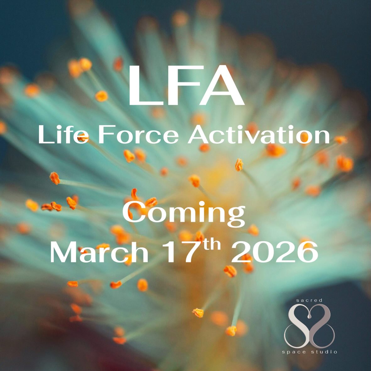 Life Force Activation- LFA
Universal life force energy activates your authentic energy via a facilitator.
It becomes your process toward liberation and balance in the body and higher consciousness. Therefore we set an intention for each session that stems from our psychological basic needs.
Sometimes we start and open with a little Mediyoga and sometimes end with a little Reiki and Chakra balancing.
To give you security and time to relax, we gather in a small group of women here at Sacred Space Studio.
Four Tuesdays 6:00 PM–8:00 PM
March 17th, March 24th, March 31st, April 7th
For more information and registration, send your email address via SMS to 070-3560504
@sacredspacestudio3d #stillspaces_ @vasterascity