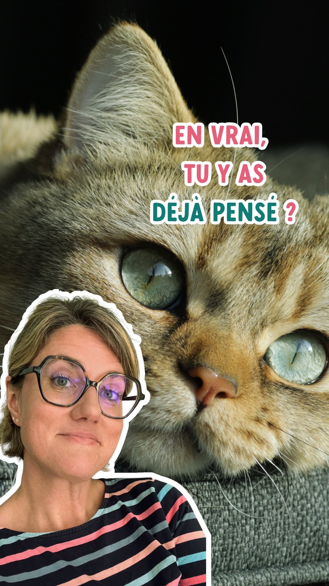 TU Y AVAIS DEJA PENSE ?
Horaires humains, nourriture industrielle, vie en intérieur ou sorties contrôlées, cohabitation imposée, nuits qui doivent être calmes et silencieuses…
Sans même s’en rendre compte, on demande à nos chats de s’adapter en permanence à notre mode de vie.
Et ils le font souvent très bien !
Le chat a d’incroyables capacités d’adaptation, mais aimer son chat, ce n’est pas seulement apprécier sa flexibilité…
C’est aussi respecter sa nature, comprendre ses besoins… et éviter de tirer trop fort sur la corde.
Une relation apaisée commence par là : quand on cherche l’équilibre et le compromis entre nos besoins d’humains et les siens.
Dis-moi en commentaire ce que cette réflexion t’inspire !
As-tu déjà pensé à tout ce que ton chat adapte pour toi ? 😄
#entrechatetmoi #comportementalistefelin #rennes