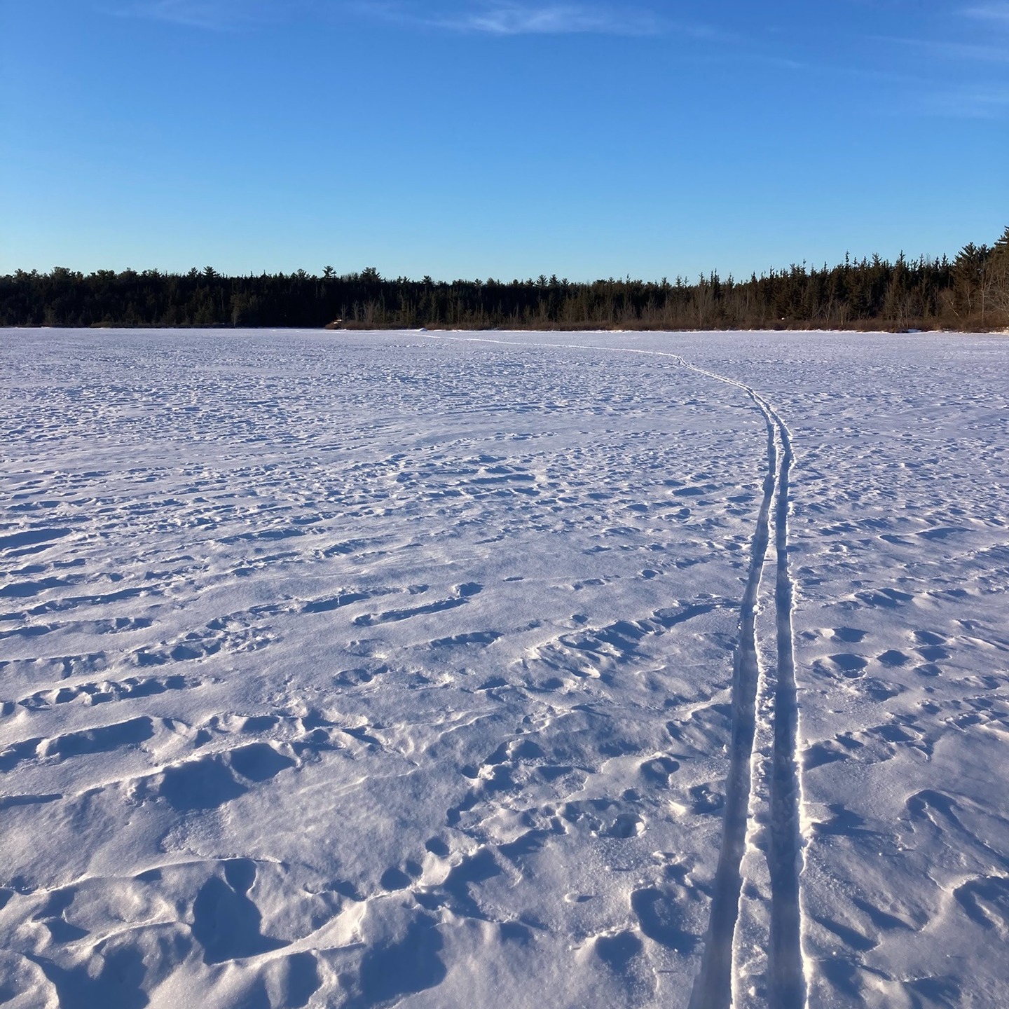Winter is: skiing on the pond and dreaming of the bursts of color and life of summer on the farm and remembering how we bundle up for the heat of the sun, not for the cold.
Vegetable CSA share registration is open, link in bio.