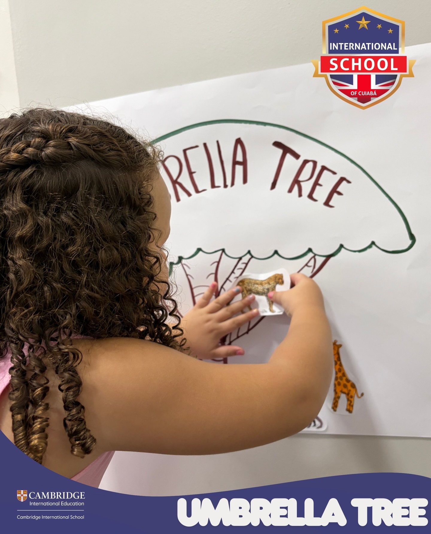 A story that teaches kindness, cooperation, and peace: Umbrella Tree.
.
Uma história que ensina gentileza, cooperação e paz: Umbrella Tree.