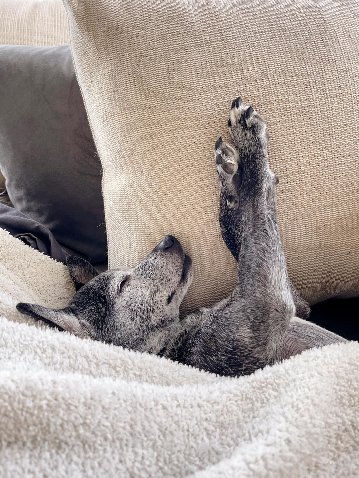Just visualizing the triple cork 2340 double mctwist for his Olympic big air run. 🏂