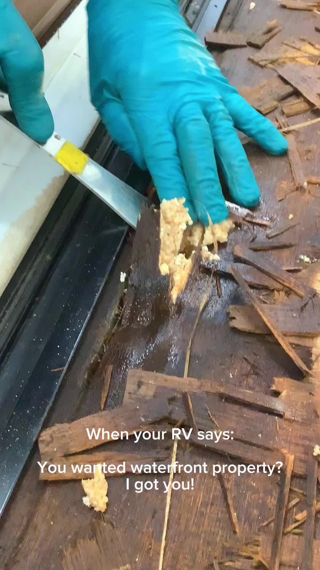 This isn’t water damage - this is water COMMITMENT!
All jokes aside, this is the worst case of actively wet, water damage we have seen. And we’ve seen some doozies.
#revolutionrailers #waterdamage #rv #rvrepair #water #revolutiontrailersmb #rvreimagined #renovatedontreplace