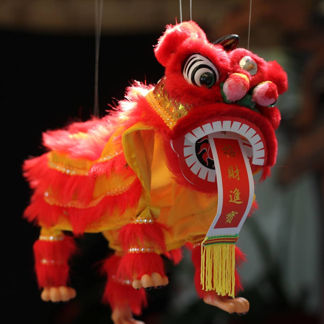 Happy Chinese New Year! It's the year of the Rat! People born in the year of the Rat are ambitous, social and clever #yyjbusiness #yyjacupuncture #yyjhealthcare #yyjhealth #chinesenewyearvictoria #yearoftherat #yyjcommunity #yyj #yyjcupping #victoriabc #victoriabccanada