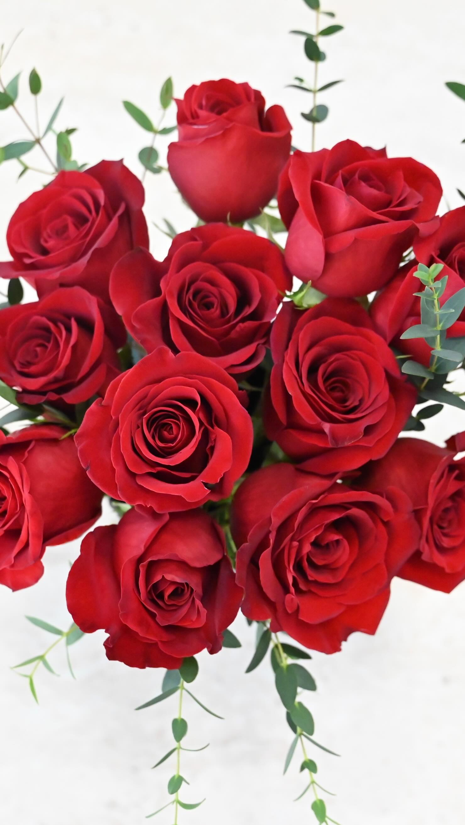 One dozen roses in a modern classic style, Finished with our signature black ceramic vase.
Simple, thoughtful, and always timeless.🥀
#LaMaisonFlowerStudio#calgaryflorist #yycflowershop #valentinesday#dozenroses