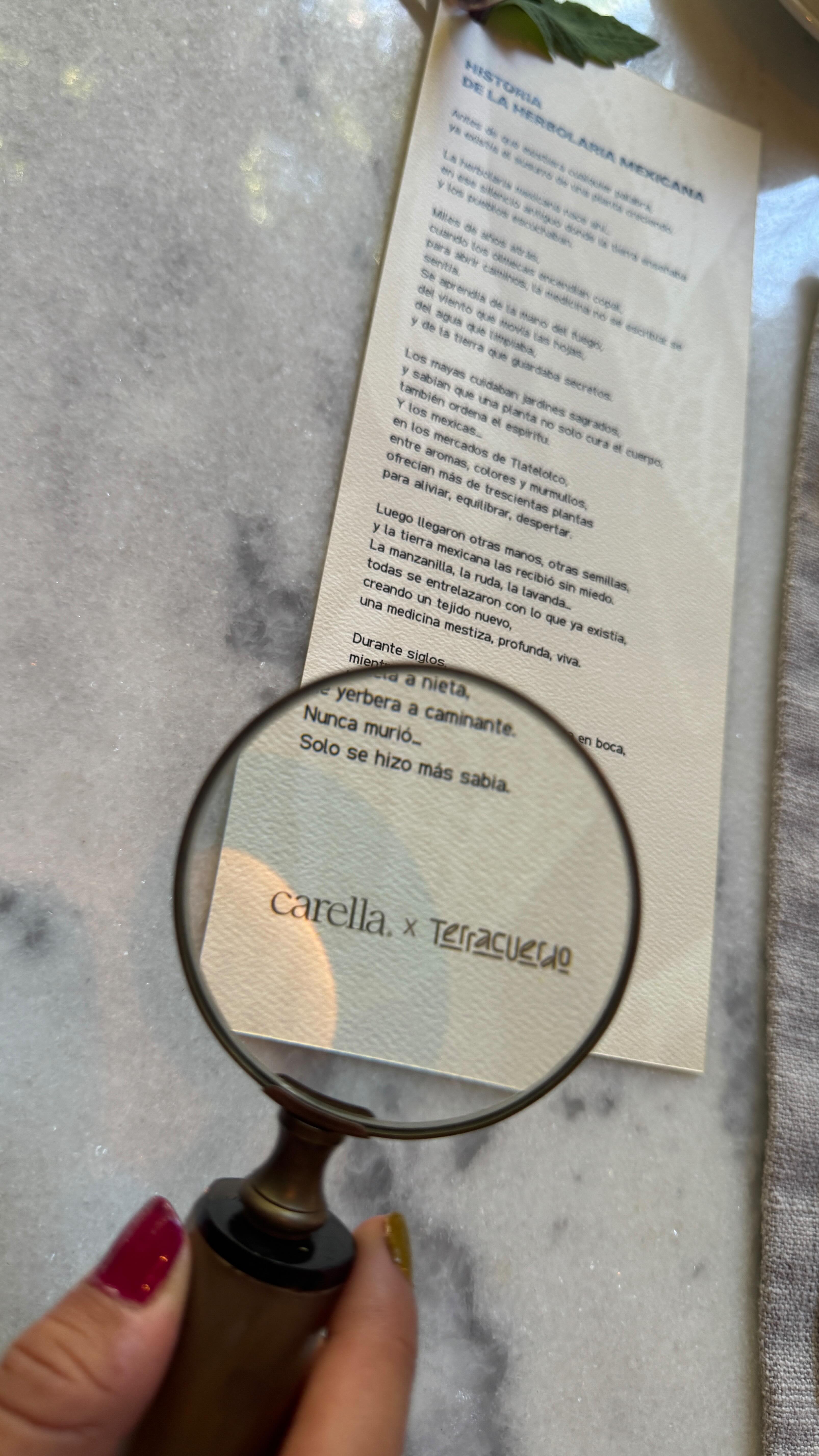 Espacio abierto para todas las personas 🌿
No necesitas experiencia previa, solo curiosidad, apertura y ganas de aprender.
Aquí todas y todos aportan: desde lo que sabes, lo que preguntas y lo que sientes. Compartimos conocimientos sagrados y ancestrales, transmitidos desde el respeto, la práctica y la intención, para que puedas integrarlos a tu vida cotidiana de forma consciente y cercana.
📍 28 de febrero
⏰ 10:00 a.m.
🏨 Hotel Kunuk, Mérida
CUPO LIMITADO RESERVA TU LUGAR🪴🫶🏻
Un encuentro para recordar, aprender y reconectar con saberes que viven en la memoria y en la tierra.