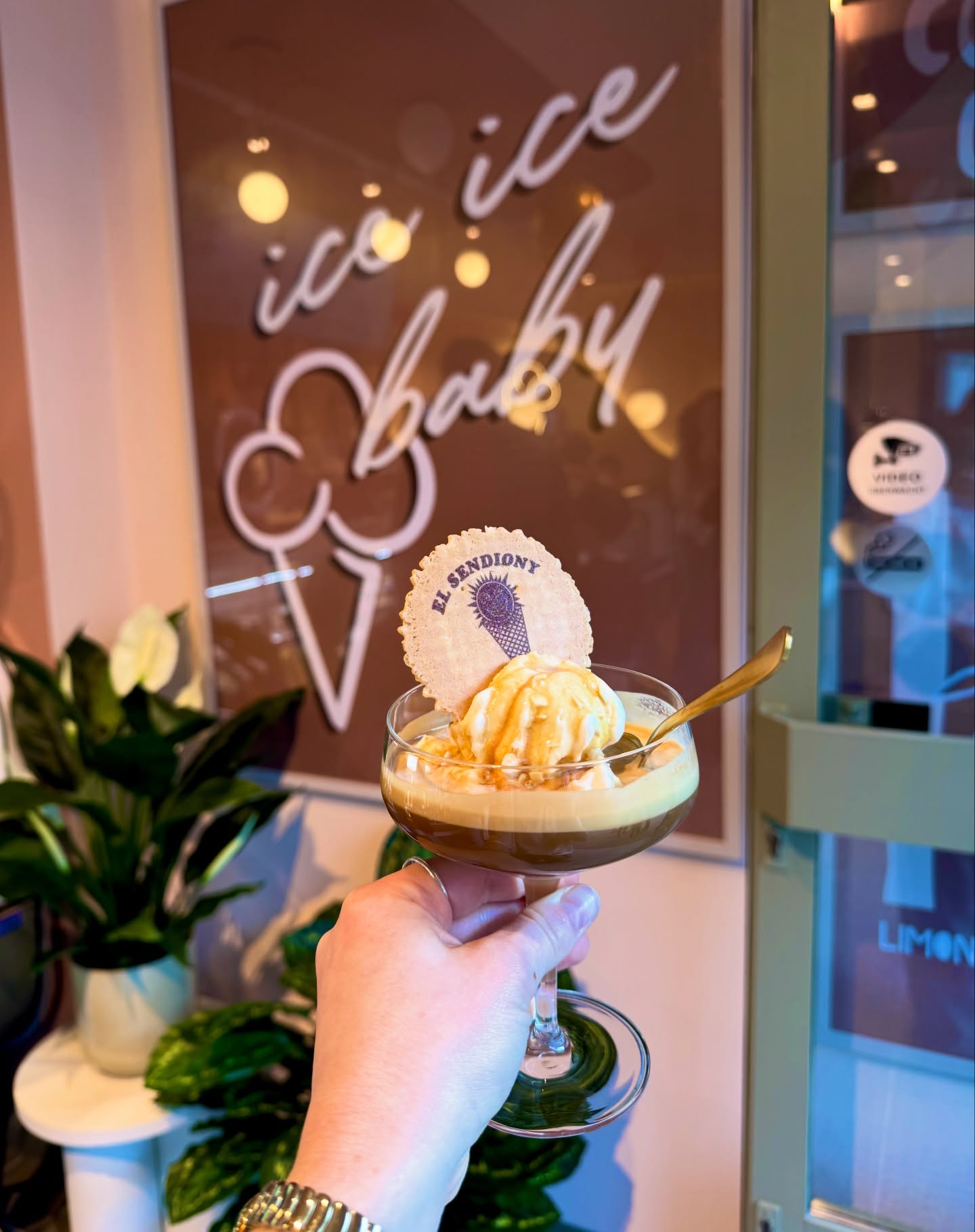 Sobald die Sonne rauskommt, gibt es einfach keine bessere Kombi als Eis & Kaffee ☀️💛
Wir freuen uns riesig, @eissalon.elsendiouny.himberg bei ihrer Neueröffnung begleitet zu haben – mit Affogato, Zitroneneis mit Sekt, Aperitif, unseren hausgemachten Limonaden und feiner Mini-Kulinarik. Danke für dieses wunderschöne Event ✨