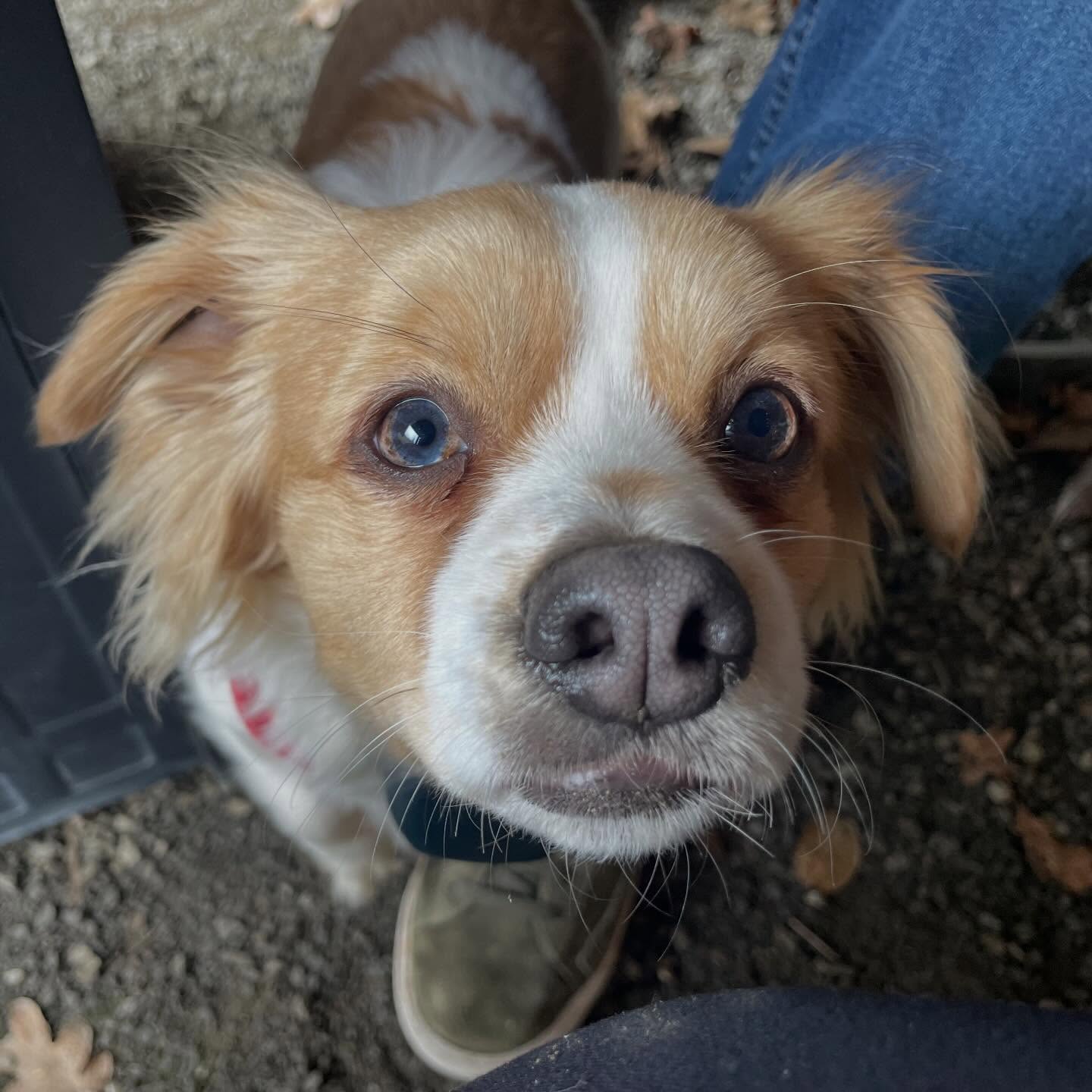 Come for the wine, stay for the floof