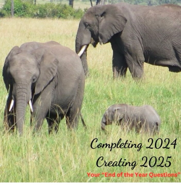 FREE DOWNLOAD! ✍️ Here is Bob and my “end of the year” ritual. We have dinner and then share our answers with each other. It’s a powerful and empowering way to close the book on 2024 and define 2025. To download, head to my homepage at PennieDiamondQuintana.com and scroll to the bottom. Then click on the elephants. Enjoy! ✍️🌹🎁
#anactorslife #Purpose
#artthattransformshumanity
#grateful
#philosphy
#positivevibesonly
#wordsofwisdom
#creativeprocess
#artisticinspiration