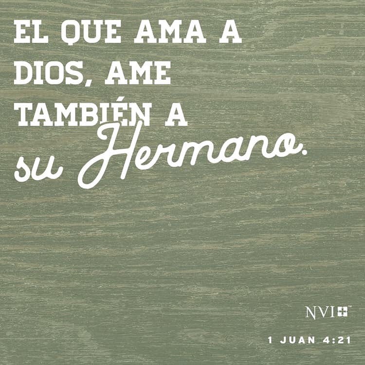 I love how the Spanish language includes a preposition with the verb “to love“ — it points thought to the fact that love is not just a quality we possess, but is also something that we express to others.
.
#loveoneanother #lovequotes #GodisLove #amoasushermanos #DiosesAmor
