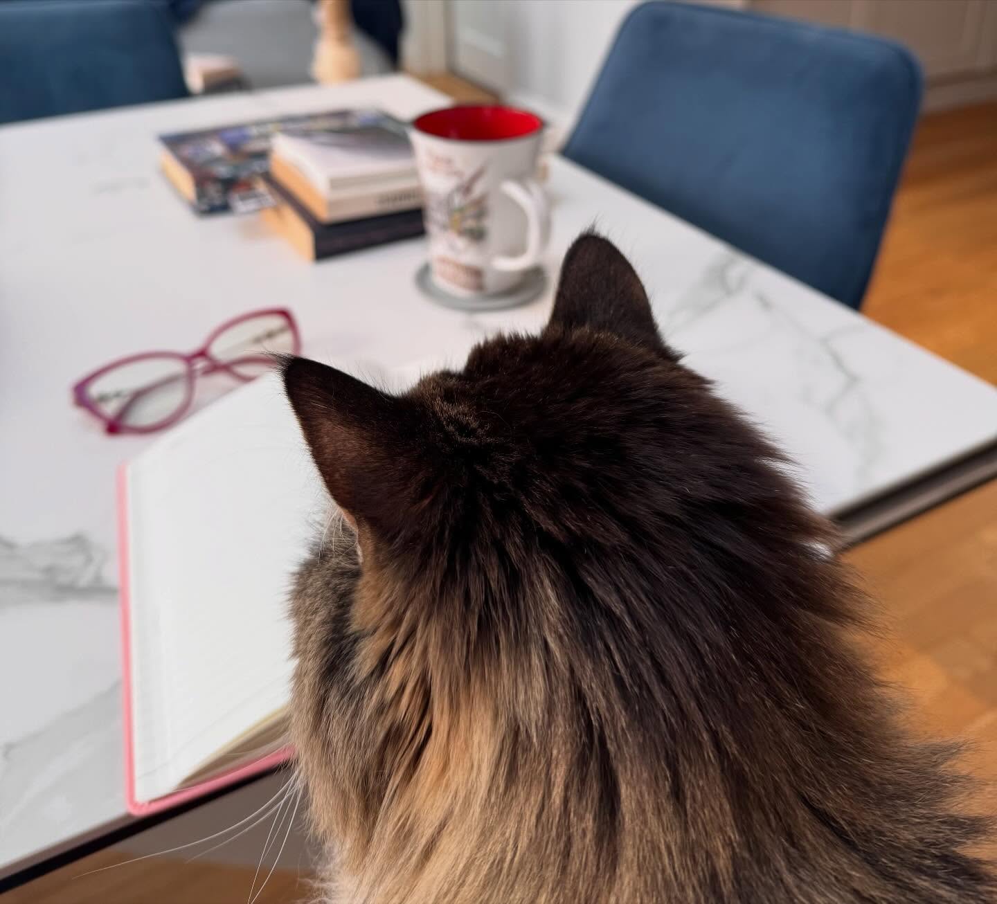 ‘Staring at a blank page, mum.’ ‘Writer’s life, my girl.’