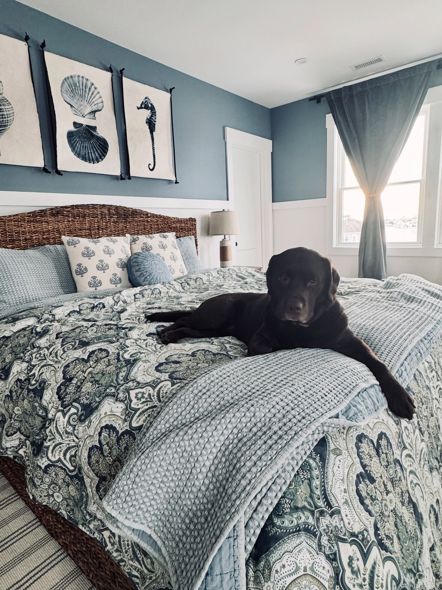 Our modeling budget is bananas… literally. 🍌🐾