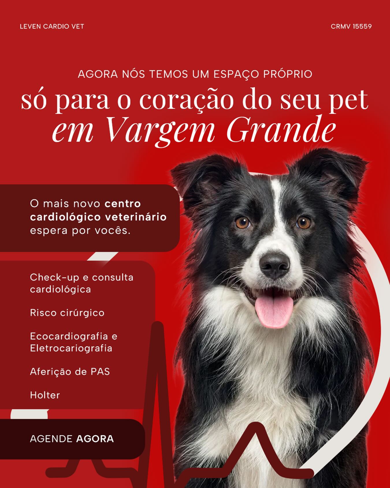Estamos crescendo!
Além dos atendimentos em domicílio e nas clínicas parceiras, agora também temos um espaço só nosso para cuidar do coração do seu pet: nosso consultório próprio, em Vargem Grande.
Mais estrutura, o mesmo carinho.
Mais perto e a mesma dedicação.
Agende uma consulta e venha nos visitar.
Seu pet vai se sentir em casa e em boas mãos.
Atendimento com hora marcada
📍Estrada do Pacuí 141 - Vargem Grande, RJ