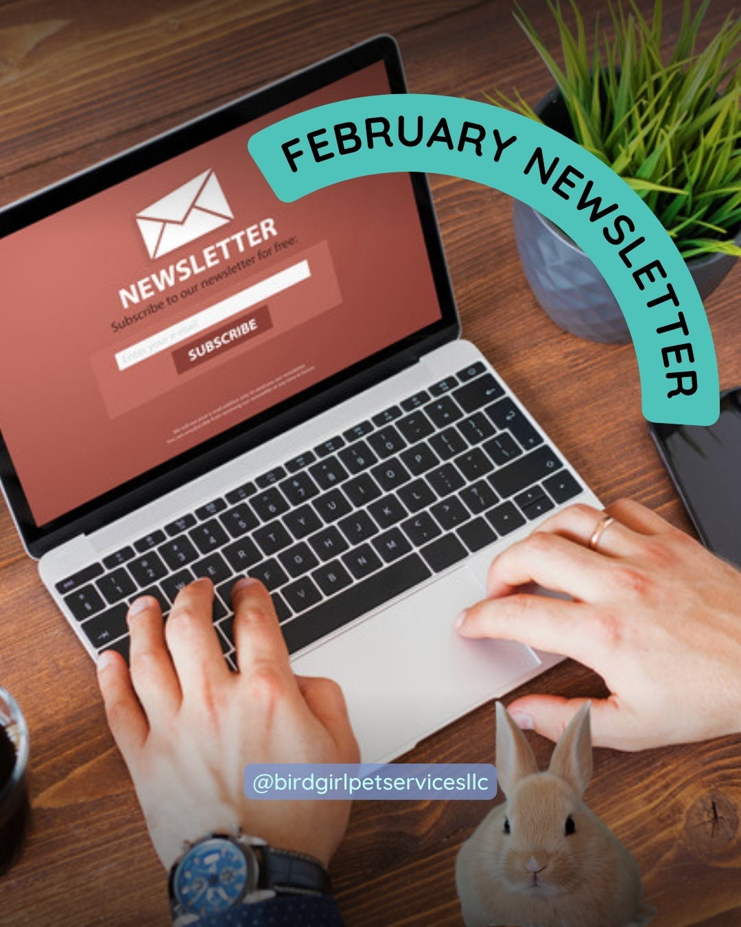 February is all about love — but with exotic pets, love doesn’t look like big gestures.
It looks like trust.
Routine.
Consistency.
I shared more about what that actually means (and how to build it) in this month’s newsletter, along with a simple enrichment activity you can try at home.
If you care for birds, reptiles, or small mammals, this one’s worth a few minutes of your time.
👉 Go check it out on Kaitlin’s site
And feel free to share it with another exotic pet parent 💛