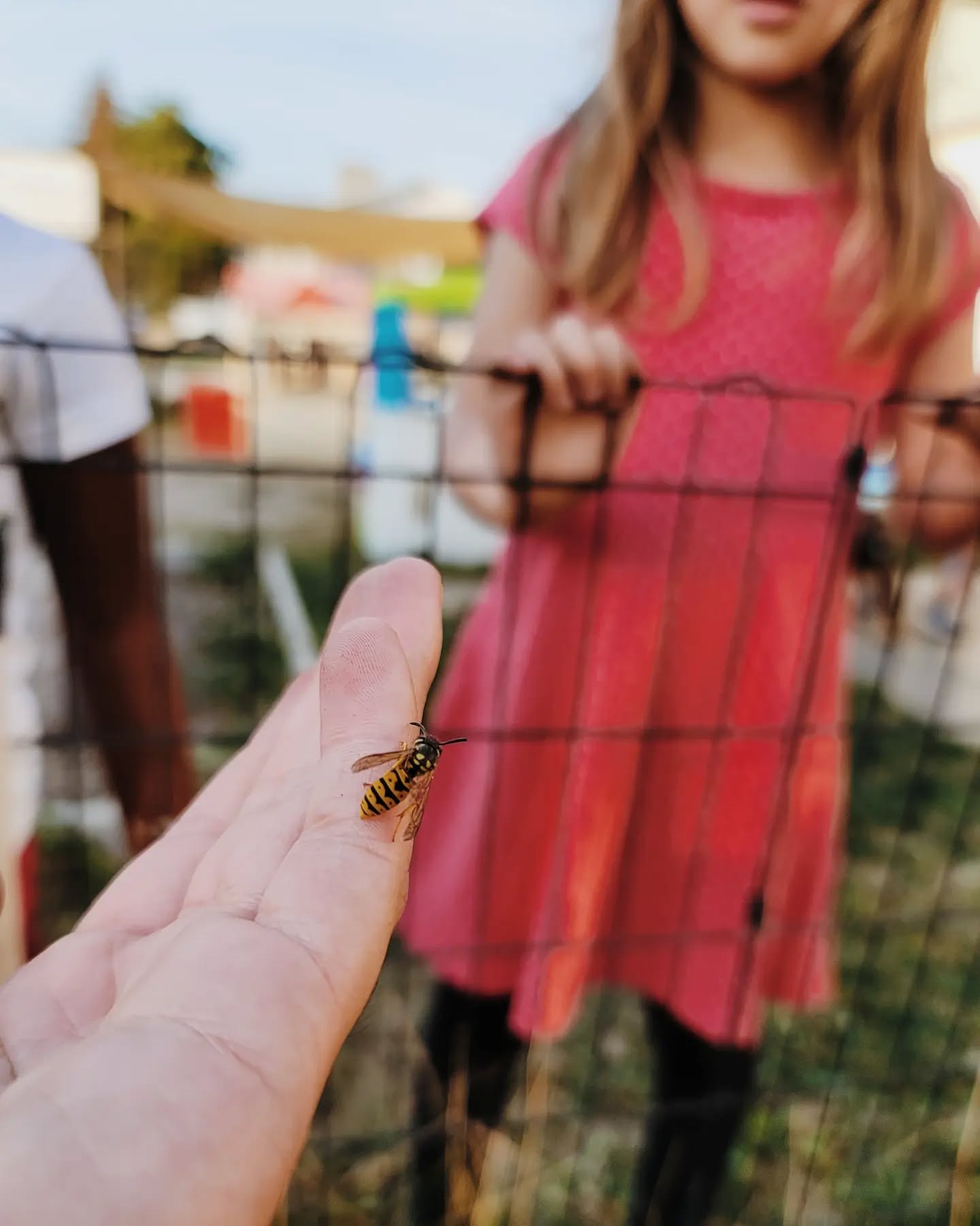 BEEing super greatful for the BEEautiful fall season so far!
#childcare #childcareprovider #bcbusiness #animals