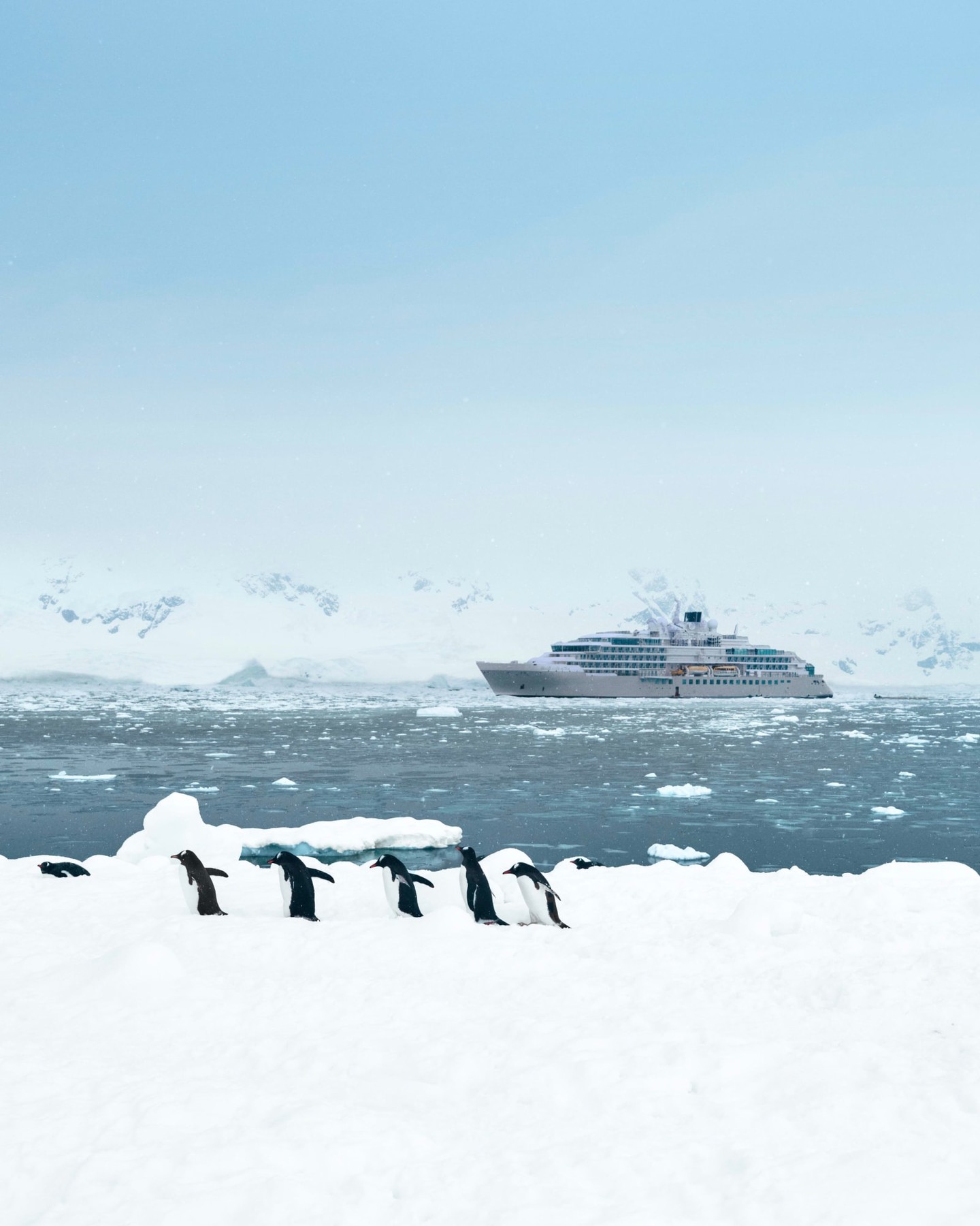 When the penguins wave you over as you approach Antarctica, you know itās going to be a great day aboard your Silversea expedition voyage. ā
ā
Jaw-dropping icebergs ā
ā
Stunning glaciers ā
ā
Dancing penguins beckoning you over ā
ā
Antarctica, thereās just nowhere else quite like it.
Experience more by contacting info@boardingpasstravel.ca.