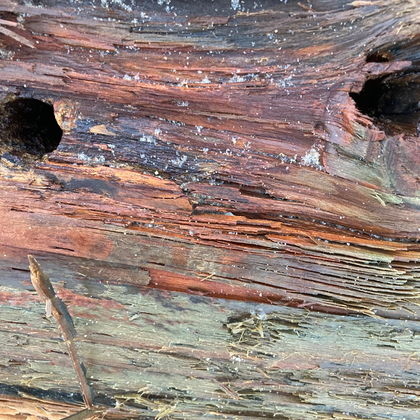 Gerade noch geschafft: Mein Januar-Blog! https://www.artanalog.de/post/zwischenspiel