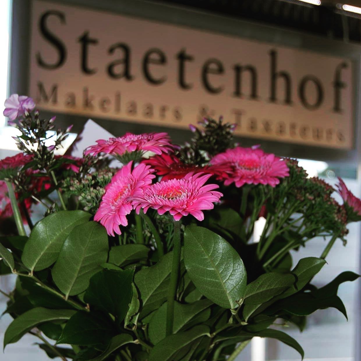 #Staetenhof uw professionele en gecertificeerde register #makelaar #taxateur voor al uw aan- en verkoopopdrachten en al uw woningtaxaties #aankoopmakelaar #makelaardij #taxatie