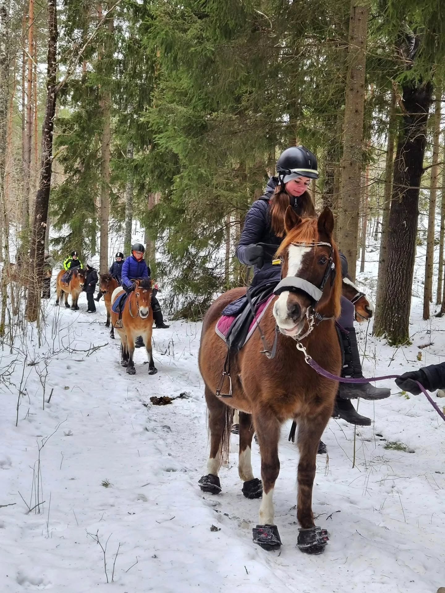 ❄️Dagridläger för barn på sportlovet
17 februari, kl 09.00-15.00
18 februari kl 09.00-15.00
Detta läger riktar sig till barn och ungdom som ridit minst 1 termin på ridskola, eller har motsvarande kunskap, och som minst kan rida och kontrollera din häst utan ledare i skritt och trav på ridbanan men som kanske behöver ledare på uteritt.
Lägret är också lämpligt för elever som ridit i många år i alla gångarter, vi har möjlighet att dela upp ryttarna i mindre grupper om det är olika nivåer på ryttarna.
Under dagen ägnar vi oss åt grupplektion på ridbanan, hästpyssel, en härlig uteritt, stallskötsel, teori och mycket annat kul.
🍽Egen matsäck och mellis medtages, kylskåp och micro finns. Vi bjuder på frukt och saft.
Har man ingen skjuts hem direkt vid 15 går det bra att hänga kvar hos oss och vänta tills föräldern slutat jobbet. Likaså går det bra att bli lämnad tidigare på morgonen om det behövs.
💰 Pris: 650kr/dag
Varmt välkommen till en härligt, hästig dag hoss oss på Ängvaktartorp!
❄️🐴🌞
