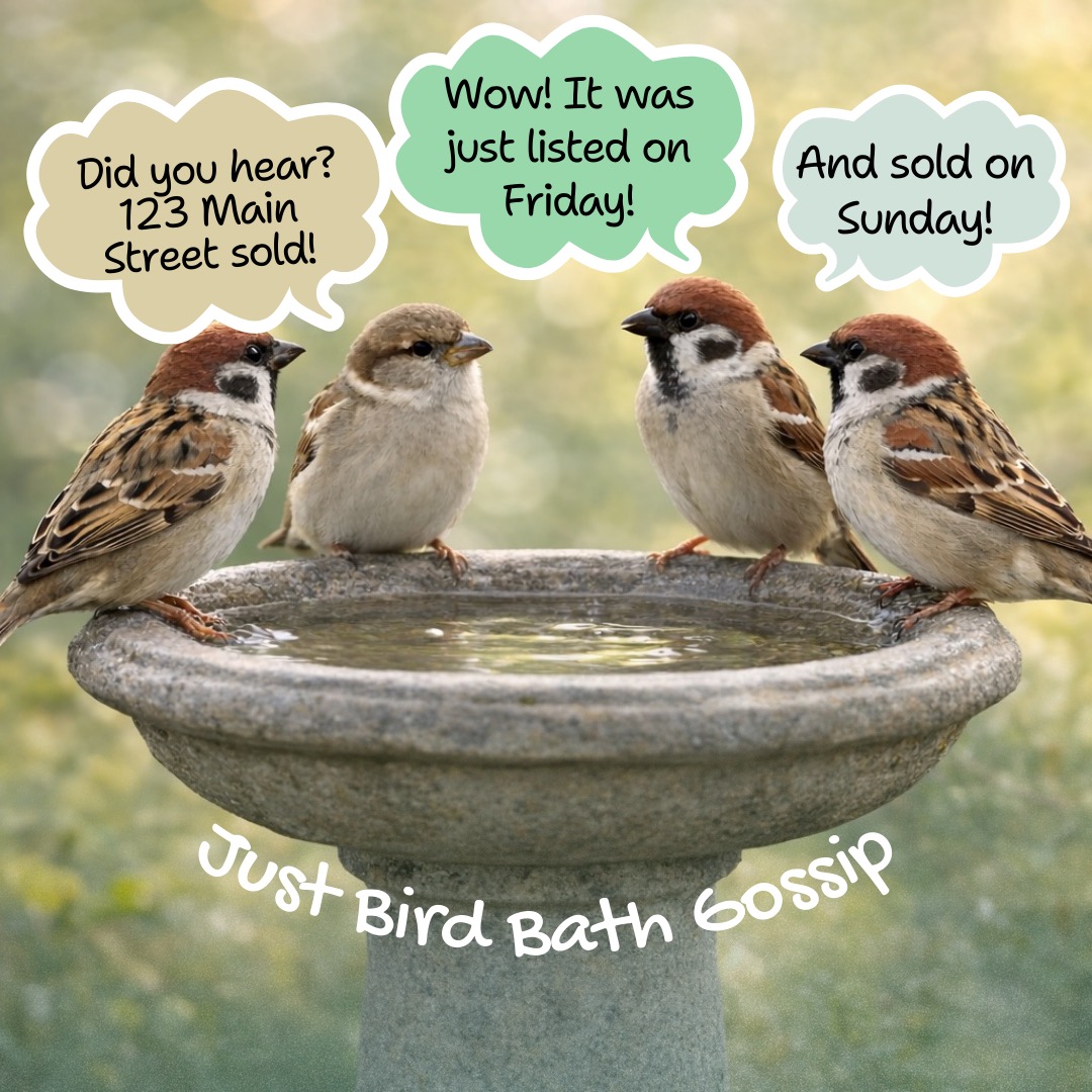 f the bird bath knows, it’s already happening.
The spring market doesn’t ease in; it shows up and starts making moves.
Ready to list? Contact Jennifer Scocos, Realtor with Howard Hanna Real Estate in the Cleveland, Akron, and surrounding Ohio communities excited to help make your next move.
