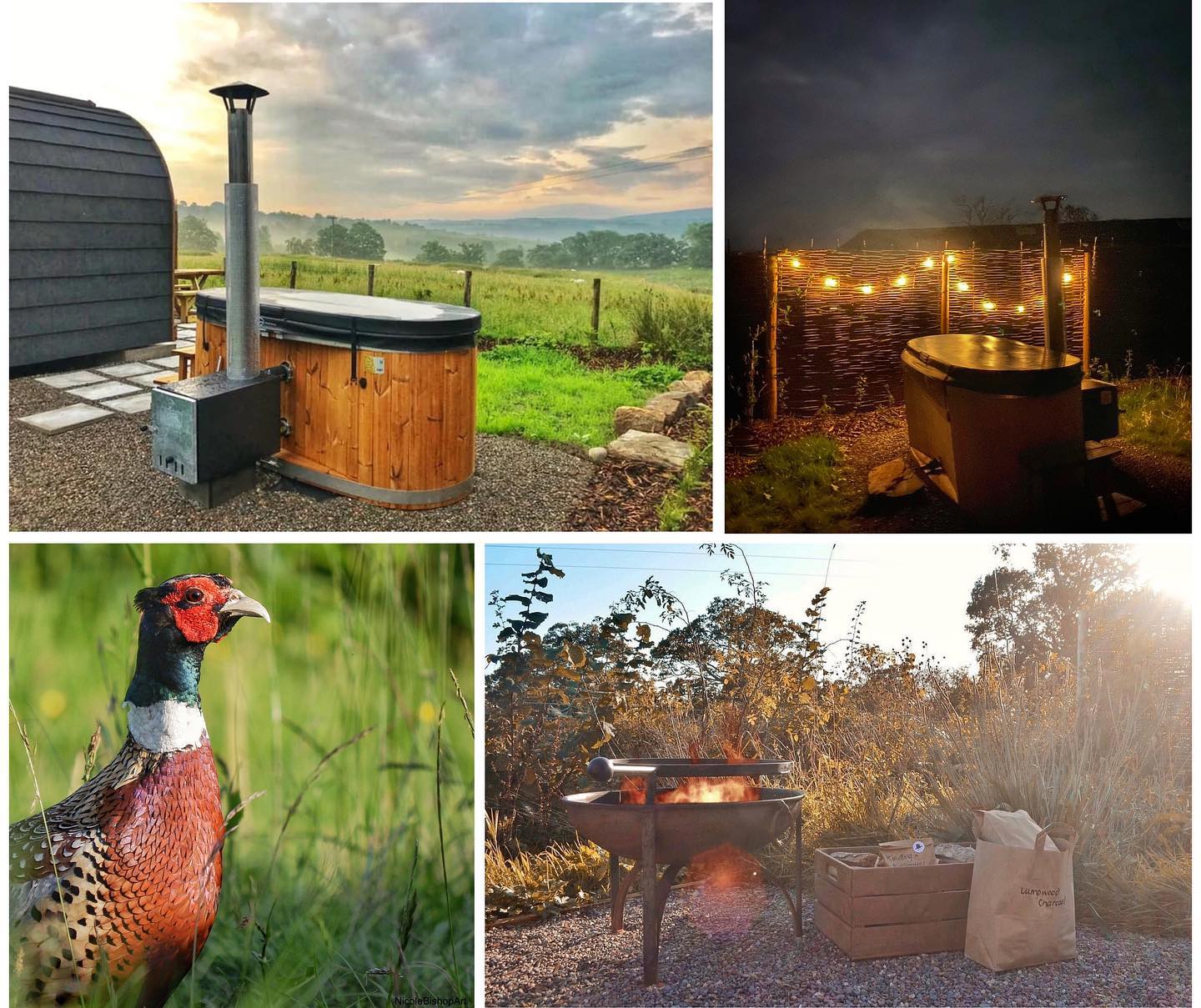Looking for a different way to spend for New Year’s Eve?
Why not start 2025 with a hot tub under the stars ✨🥂
We still have some limited availability for New Year’s bookings! Make sure to use our New Year Special - stay between 27 Dec 2024 and 2 Jan 2025 for 3 or 4 nights and get 15% off per night, stay for 5 nights and get 20% off per night