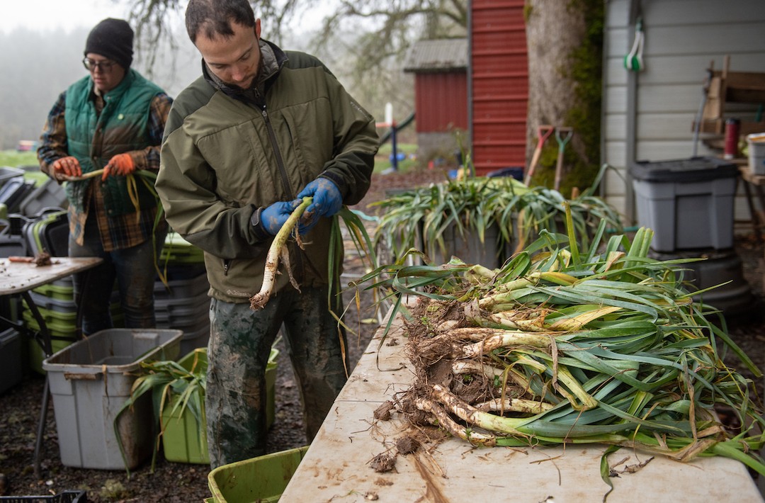 Our February newsletter is live.
We’re sharing how Double Up Food Bucks is helping expand access to CSA, announcing this year’s CSA Share Fair dates, and highlighting a behind-the-scenes farm tour that dives into what it really takes to sustain a working farm. CSA season is approaching quickly, and this issue lays out how to get involved.
Read the full newsletter with the link in our bio.
#PNWCSA #CSASeason #DoubleUpFoodBucks #LocalFood #SupportLocalFarms #FoodAccess