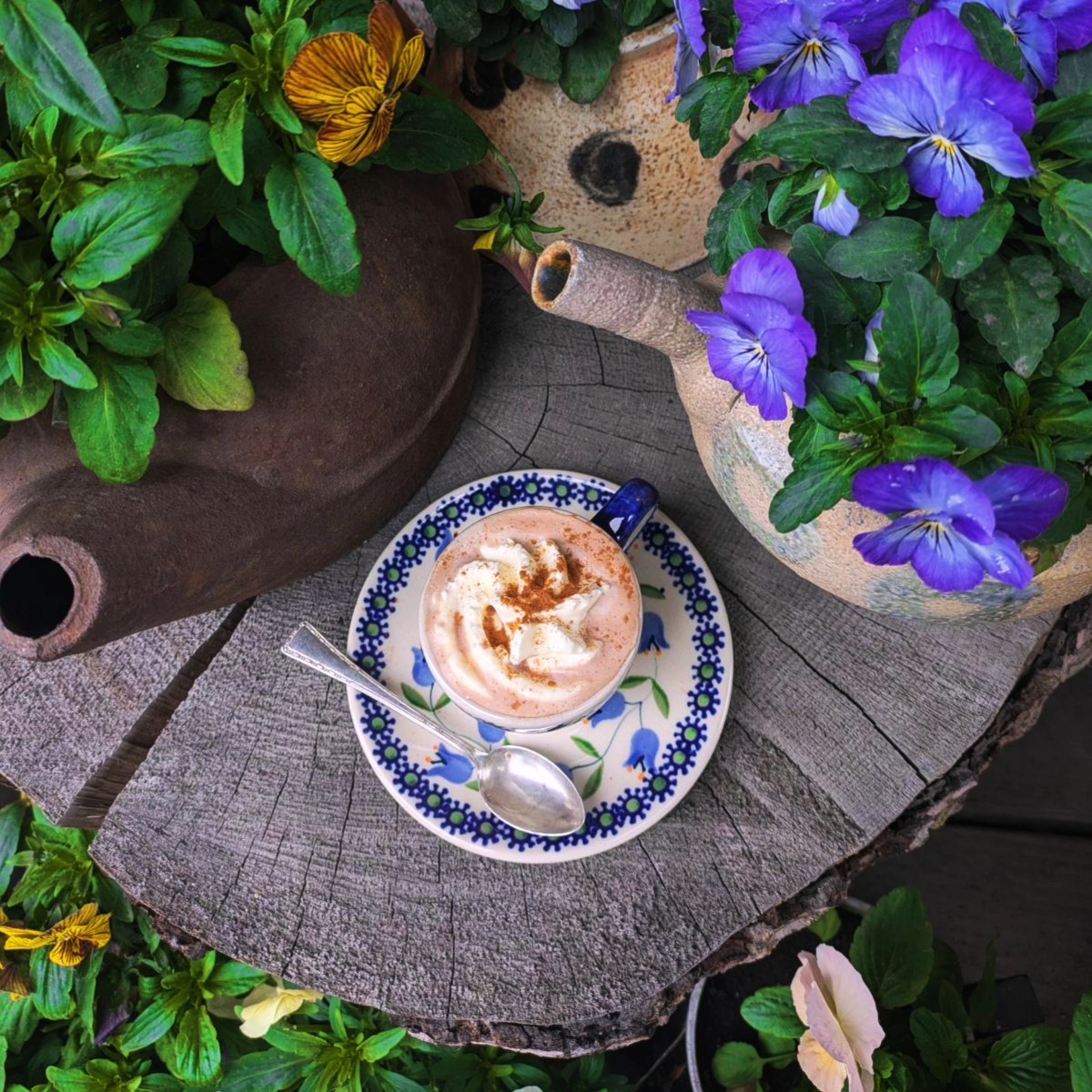 NEW HOURS!
We will be back to our shoulder season hours of 6am -6pm starting tomorrow, Monday 08/05.