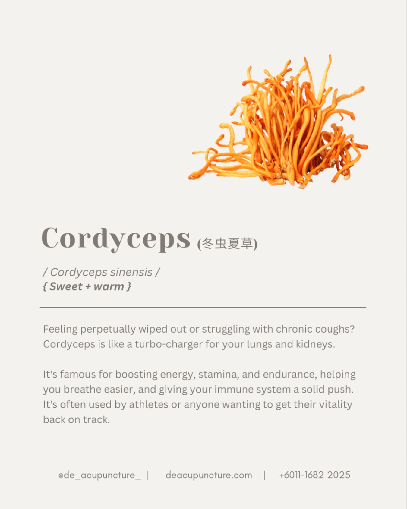Always feeling “pancit” or out of breath? 😮💨 You’ve probably heard of Cordyceps (Dong Chong Xia Cao) being the “Gold” of TCM 💰✨ but do you know why? It’s not just a fancy mushroom! 🍄
How Cordyceps actually helps you:
🔋 Boosts Energy:
Increases ATP for that natural “power bank” feel
🫁 Strengthens Lungs:
Best for chronic cough or shortness of breath
⚡️Nourishes Kidneys:
Improves your overall vitality and stamina
🛡️ Immune Shield:
Helps your body fight off those annoying bugs
It’s basically a cheat code for people who are always tired or recovering from sickness! 🏃♂️💨
BUT—here’s the key part:
While it’s amazing, TCM herbs aren’t one-size-fits-all. Using the wrong formula can actually make things worse! 😱
Have you ever tried Cordyceps and felt more heaty or got a sore throat? Tell us in the comments! 👇
That’s why you need a customised formula. Don’t self-medicate! Consult our qualified TCM practitioners at 医心医意中医坊 De Acupuncture x Herbs Centre first. We’ll find the real root cause of your fatigue and tailor a treatment just for you.
Ready for high energy days?
Click the link in our bio to book your consultation today! 💖
#Cordyceps #TCM #Acupuncture #SubangJaya #USJ #Wellness #EnergyBoost #LungHealth #ImmuneSystem #HerbalMedicine #NaturalHealing #HealthTips #DeAcupunctureXHerbsCentre #TraditionalChineseMedicine #FatigueRelief