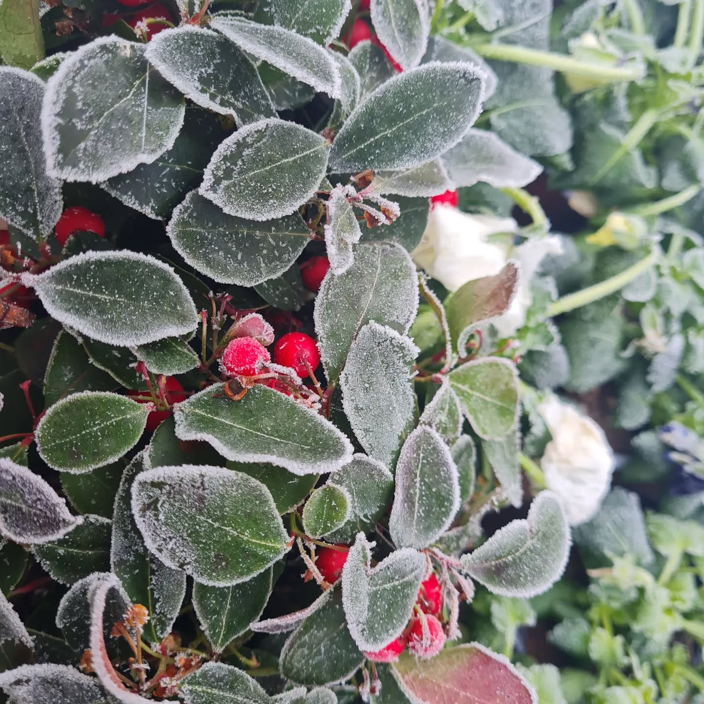 L'hiver est bien là