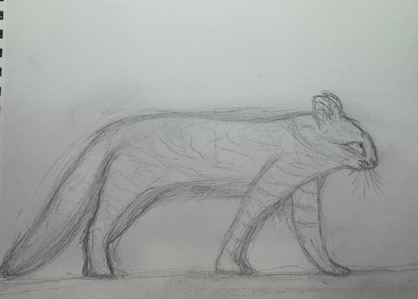 Amur
That quiet strength you didn’t know you had.
#amuleopard #doodles