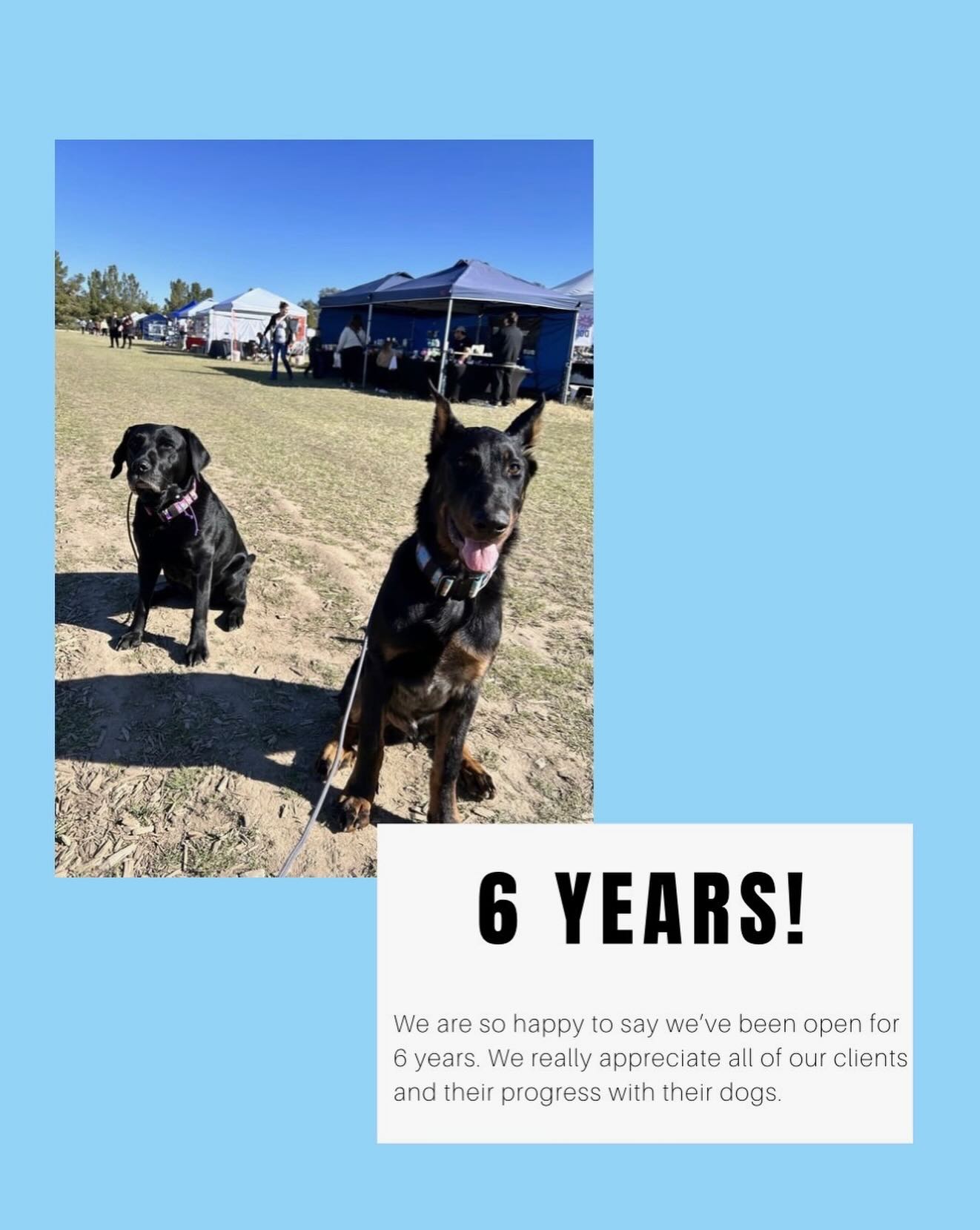 🥳 WOW — 6 YEARS! 🥳
Six amazing years of helping you and your dogs live happier, better lives together! 🐾 We are beyond grateful for every client, every pup, and every success story that has trusted us along the way.
And this year is extra special — we’re welcoming our little boy into the world! 💙 Even with this exciting new chapter, our passion stays the same. We’re still here, still committed, and still ready to help your dogs become the best companions they can be.
Thank you for being part of our journey. Here’s to many more years of happy dogs and happy families! 🐶✨