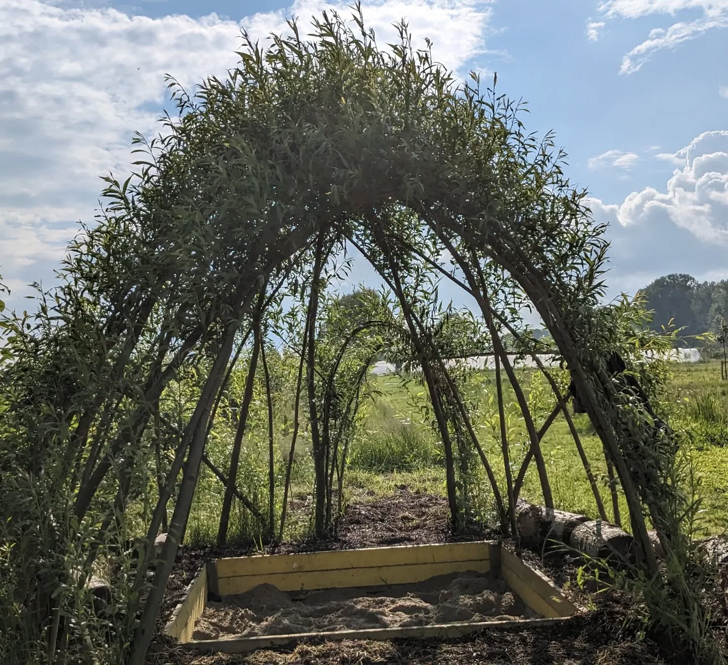 En toen was er zand! ✌️ (In de zandbak ☺️)
Helemaaaaaal klaar voor 't feest van morgen!
AARDBEIEN FEEST OP DE DAALKOUTER
Spring eens binnen en ontdek onze fruitboerderij. 🍓
Rondleiding om 11u en 15u
Aardbeitaartjes, veldbar, schminkstandje, rondleiding en gezelligheid.
Dit alles van 10u tot 18u
Botten of sandalen, alles kan, alles mag. 👢🩴🥾
Wij kijken naar jullie uit 🚀