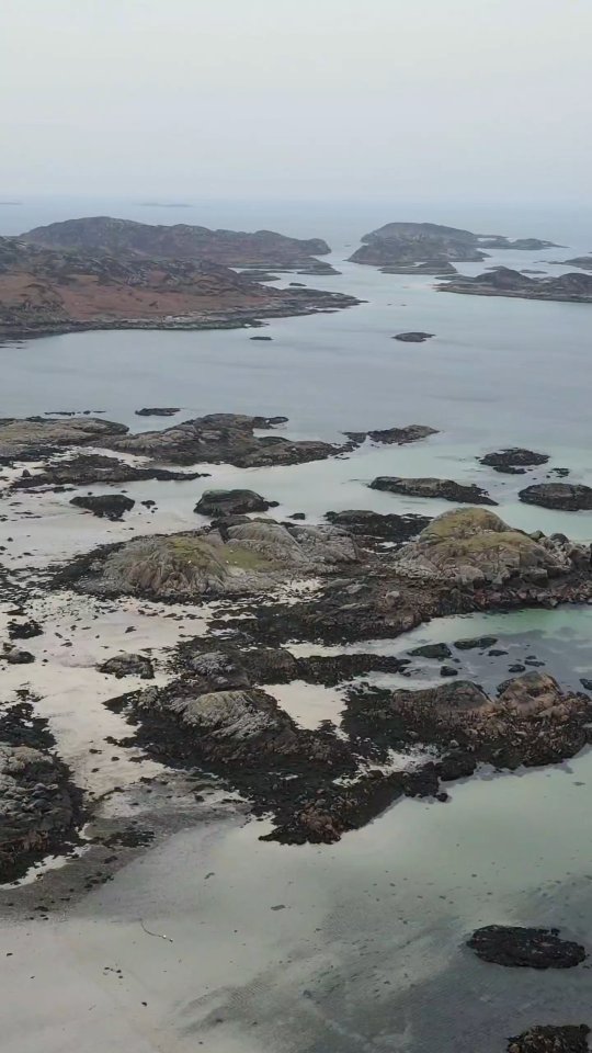 That's it! I've finally had enough 😵💫😂
Have you ever been to Mull and Iona? 😎🥰🙌🏽
I am working with the wonderful @julesinthestorm and @thepierhousehotel Head Chef @mike.leathley to welcome you in July for the most spectacular wild food, nature, yoga weekend focusing on ancient skills and knowledge.
Message me for the details!