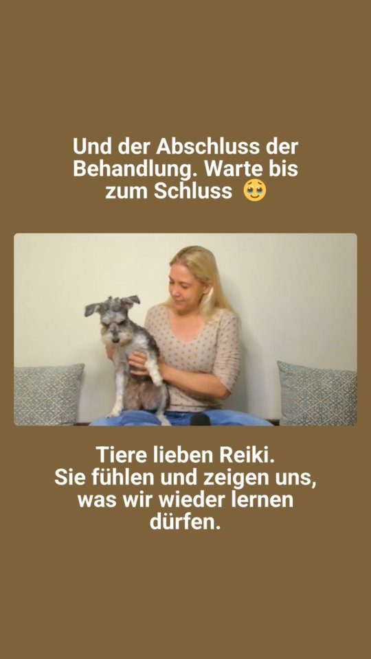 Für mich braucht es keine Beweise mehr.
Ich erlebe die Kraft von Reiki seit vielen Jahren – immer wieder, auf ganz leise und gleichzeitig tief berührende Weise. ✨
Und trotzdem gibt es diese Momente,
die mich jedes Mal neu erinnern
und mir Gänsehaut schenken.
Reiki fließt, wenn wir uns öffnen.
Wenn wir annehmen.
Wenn wir aus dem Kopf ins Fühlen kommen.
Dieses Video ist während einer praktischen Selbstbehandlung und Meditation zur Annahme der Liebe entstanden.
Und Kala ist einfach gekommen – zweimal.
Nicht geplant. Nicht gerufen.
Genau in dem Moment, als es um die pure Liebe ging.
Und am Ende, um selbst Reiki zu empfangen. 🐾
Tiere sind so ehrliche Lehrer.
So präsent. So offen.
Sie fühlen, was wir Menschen manchmal zerdenken.
Kala fordert übrigens täglich ihre Reiki-Behandlung ein.
Es tut ihr unglaublich gut – und unsere Verbindung hat sich dadurch so sehr vertieft.
Reiki ist Liebe in Bewegung.
Und diese Kraft ist für uns alle da,
wenn wir sie einladen.
Wenn dich dieser Moment genauso berührt wie mich
und du mehr über Reiki-Behandlungen oder Reiki-Ausbildungen erfahren möchtest,
melde dich von Herzen gern bei mir. 🌿💫
#reiki #reikifürtiere #reikileben #reikilernen #reikiausbildung