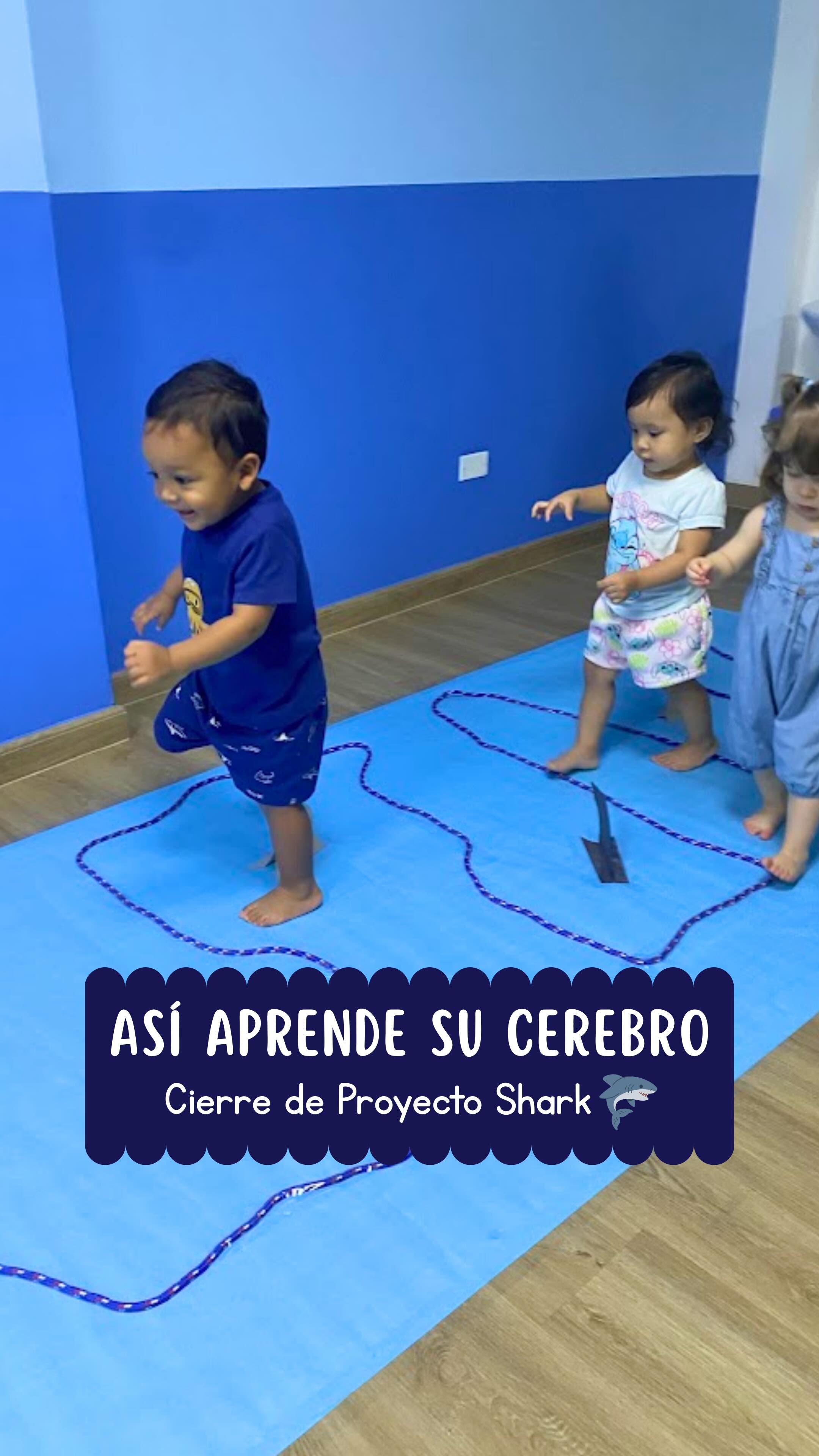 Esta semana cerramos nuestro proyecto de Sharks con un circuito lleno de retos, movimiento y exploración 🦈🤍
Cada estación tenía un propósito:
✔ Motricidad fina
✔ Coordinación óculo-manual
✔ Equilibrio
✔ Atención sostenida
✔ Exploración sensorial
Porque cuando el aprendizaje se mueve… el cerebro también se activa ✨
En My Little Genius no improvisamos actividades.
Creamos experiencias con intención basadas en las etapas del neurodesallo
¿Te gustaría que tu peque viva algo así?
📩 Escríbenos “TOUR” y agenda tu visita.