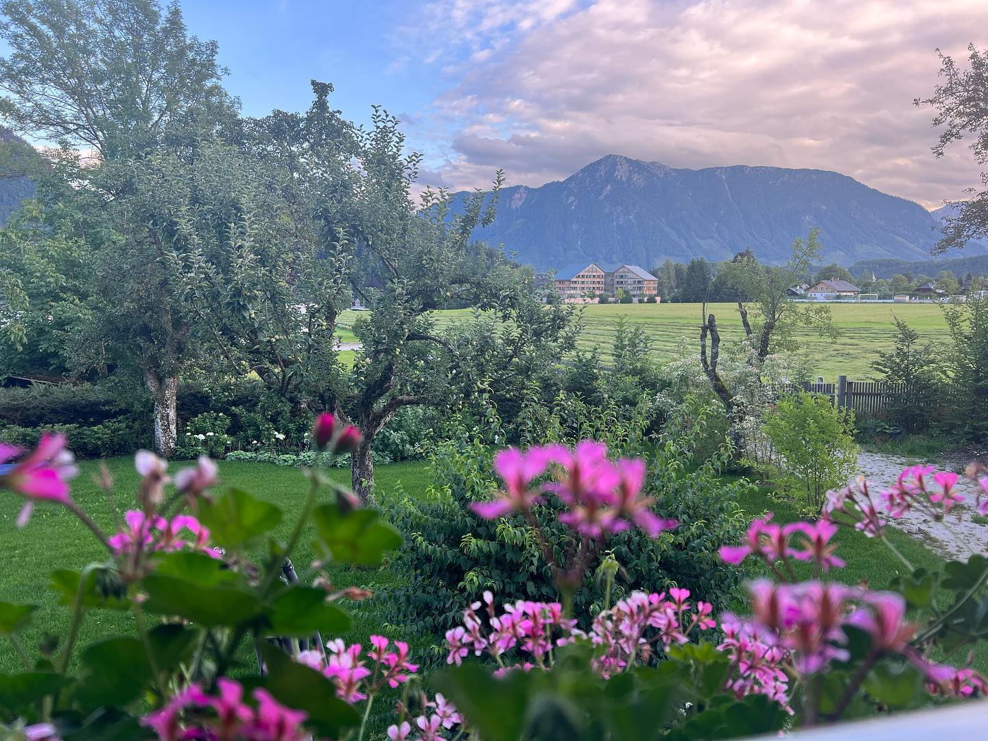 After the rain 🌧️ - a room with a view.