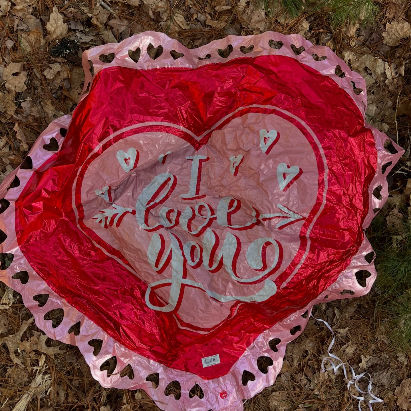 Love was in the air… and on the shoreline.
This Valentine’s Day balloon was a sweet reminder of how celebrations can travel farther than we expect. What starts as joy can end up in our ocean and beyond, like this mylar balloon. 👎
Every cleanup is an act of love. Love for our coastline. Love for our wildlife. Love for this community that shows up again and again.
If you care about keeping our beaches beautiful, we’d love to see you at the next cleanup. Check our Instagram or website for upcoming dates and join us. 💙