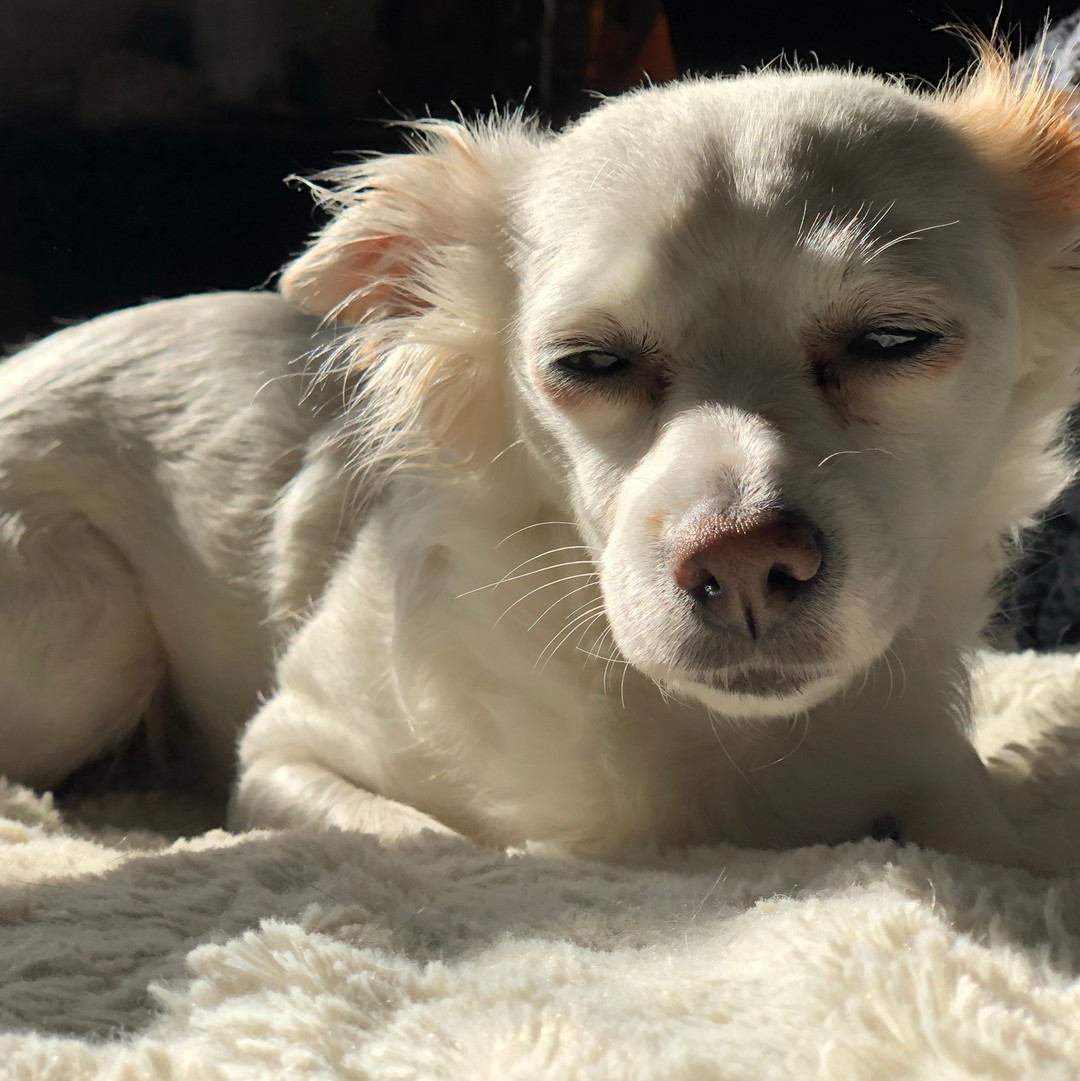 Ghost doesn't look happy with the paparazzi!!