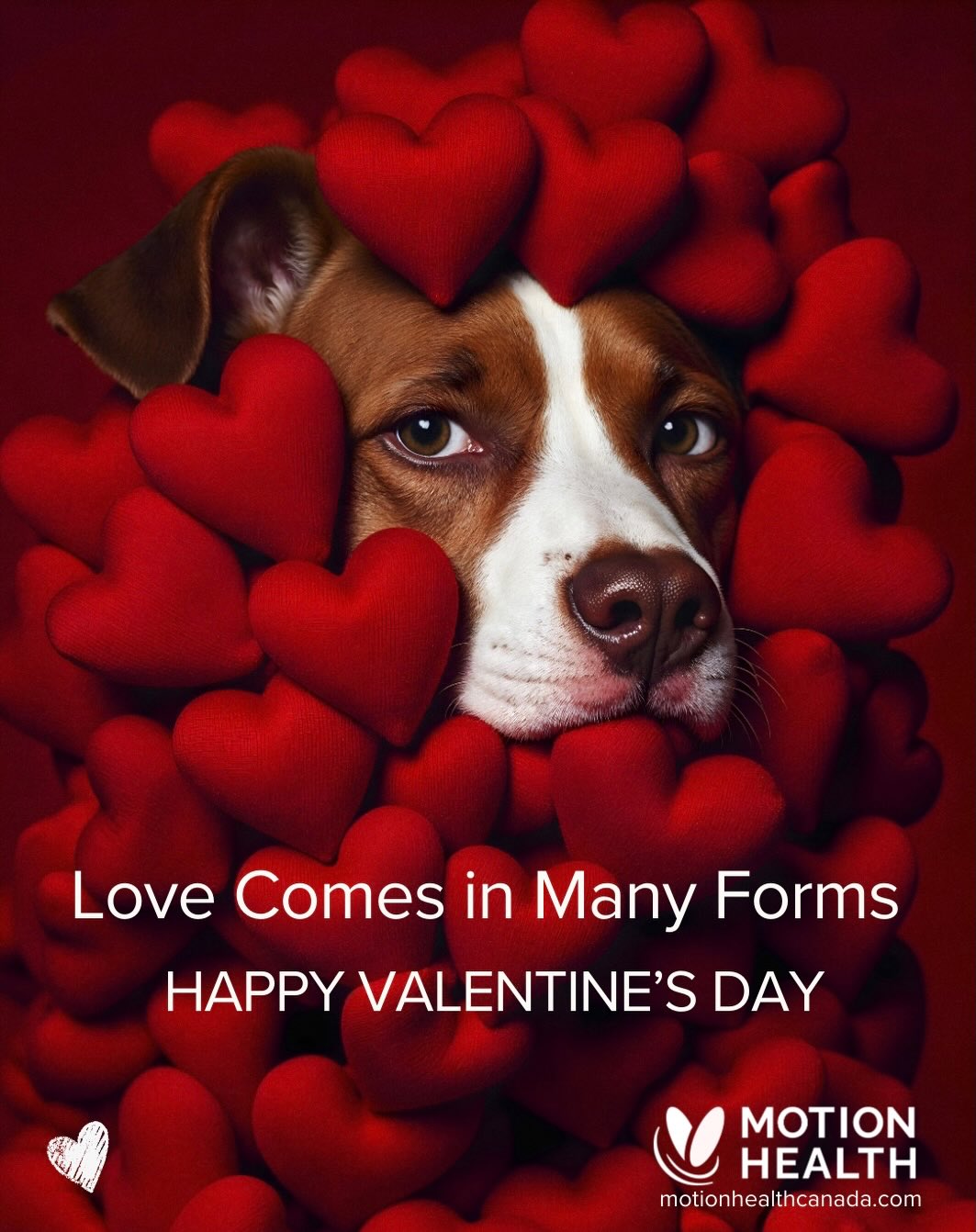 ❤️Love Comes in So Many Ways
Who Makes Your Heart Full?❤️
Will you be my Valentine?
💌 to the dog who never misses a walk.
💌to the cat who steals your pillow (and your heart).
💌to your ride-or-die Galentine.
💌to the Family that keeps you grounded.
💌to yourself because self-love counts too.
Happy Valentine’s Day!
#valentinesday #motionhealth #whofillsyourheart? #bemyvalentine❤️