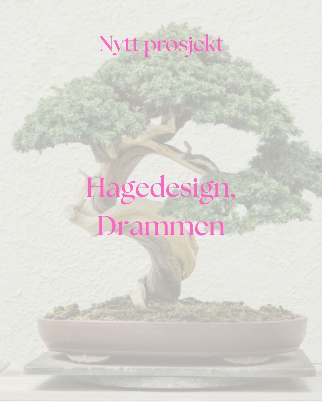 Årets første hageplan, det er lurt å komme i gang med hageplanen nå om du ønsker å sette i gang når snøen forsvinner:-)