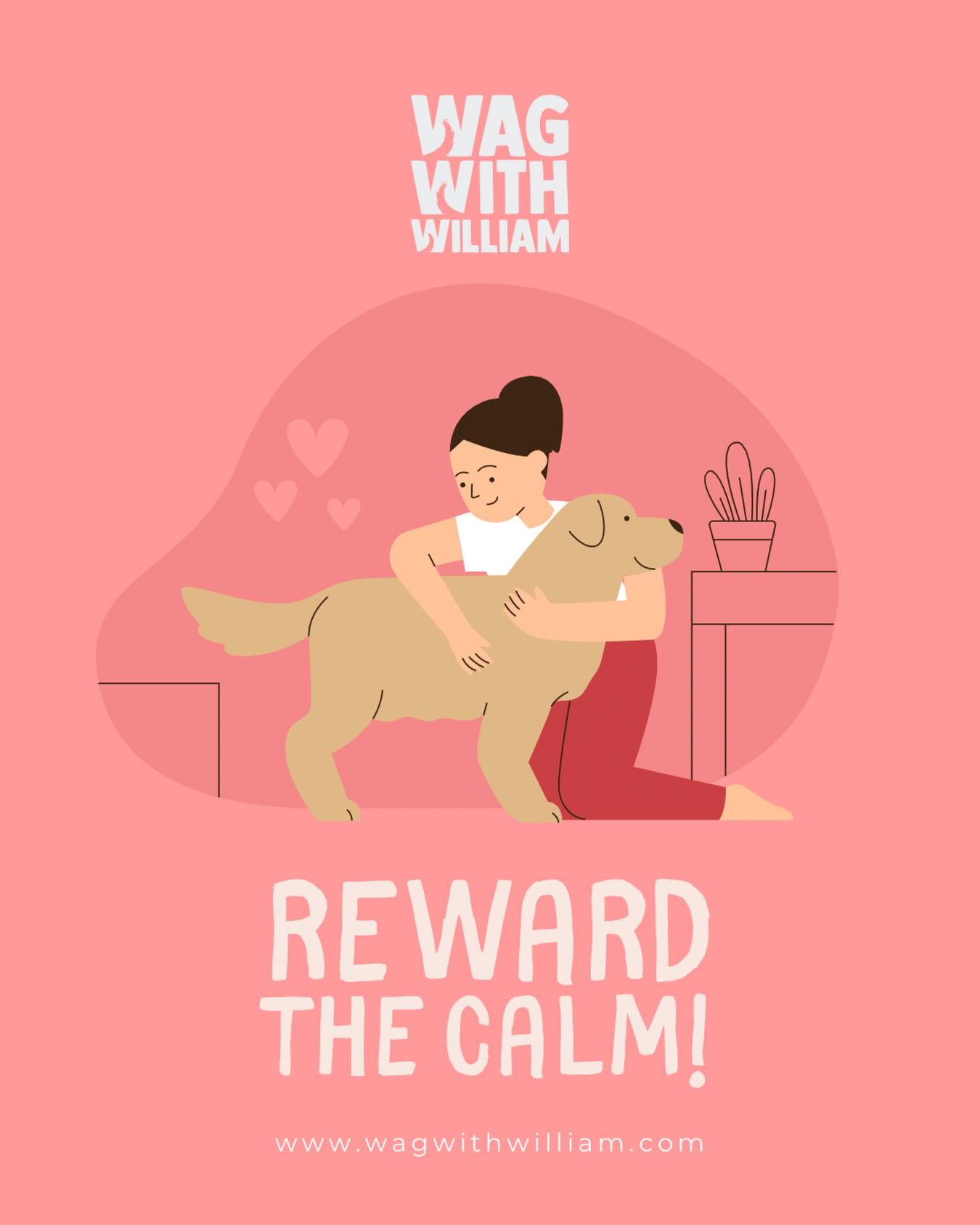 Calm is something you can teach. #WagWithWilliam #PositiveReinforcemen #PositiveReinforcement ๐พ๐ซ#FearFreeTraining