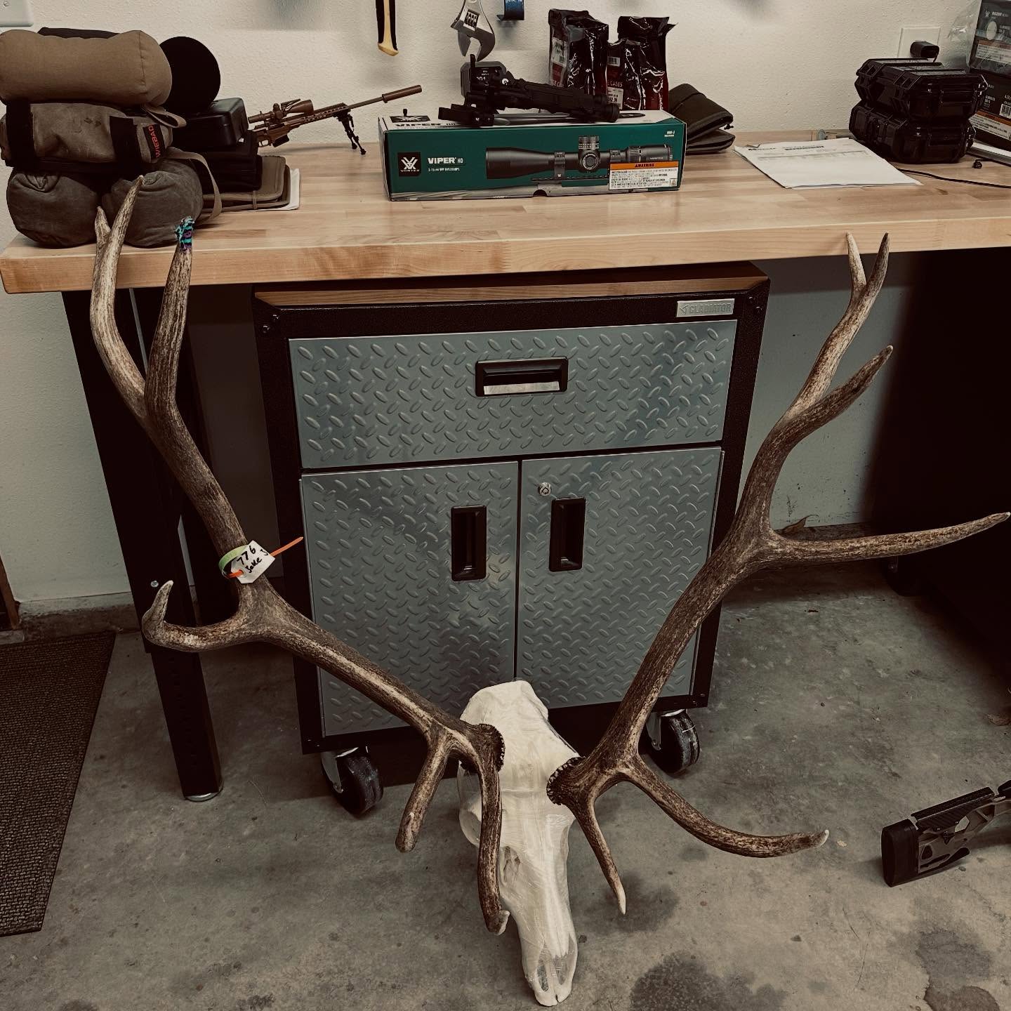 The unicorn archery bull came back. 🤘🏻🤙🏻