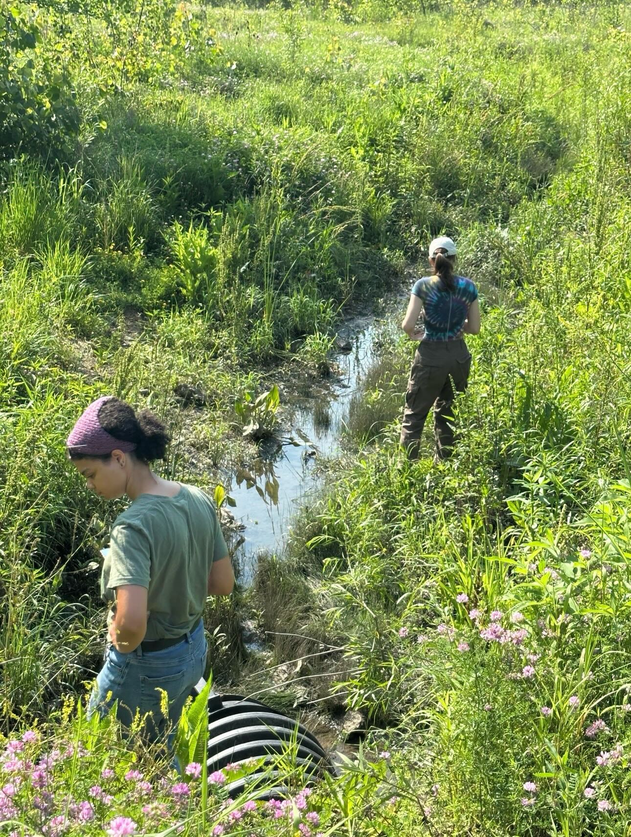 Happy International Women and Girls in Science day! We appreciate everything you do, today and everyday! #internationalwomeninscienceday #girlpower 👩🔬🧪