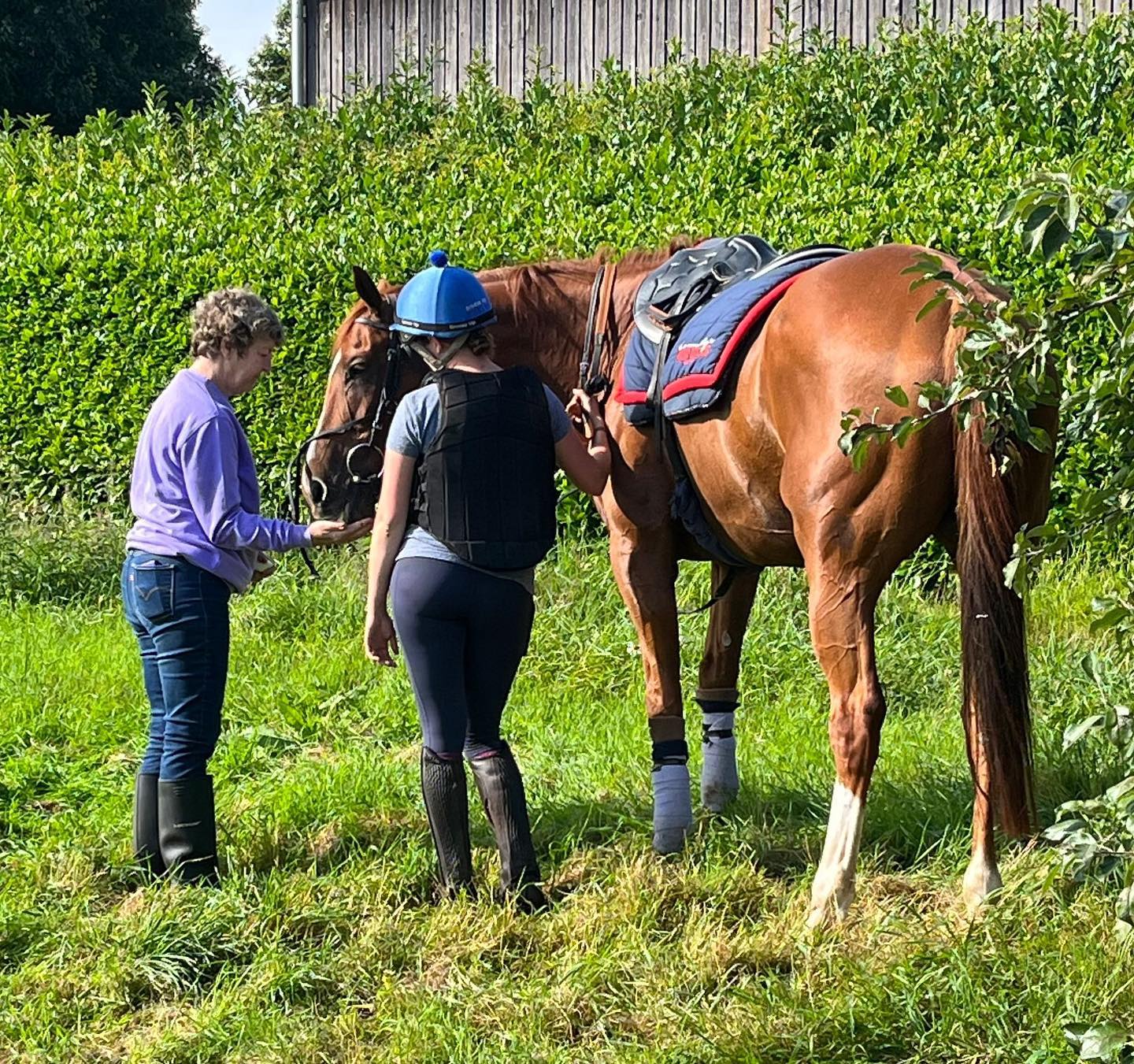 🍎🍏🍎Apples after work is a must at this time of year @celia_muchbirch @aimee_jaine #teamsymonds #tomsymondsracing #september1 #friyay #redmillshorsefeeds #gundoggin