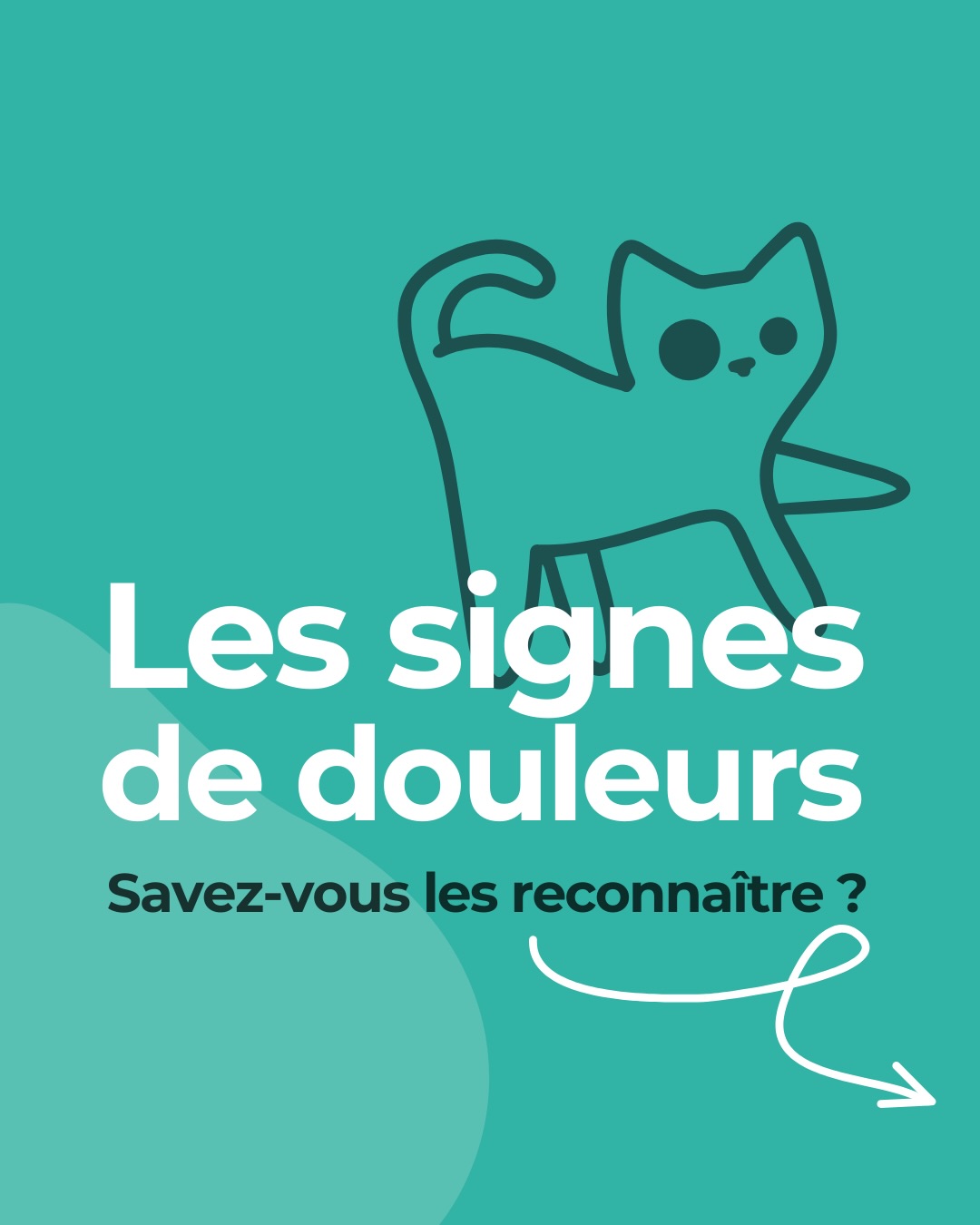 🐱 Comment repérer les signes de douleurs chez votre chat ?
Votre chat mange toujours, boit, déambule…
Et pourtant, vous remarquez quelques signes d’inconfort, des changements de comportement, il se cache plus souvent…
👉 Et s’il était douloureux ?
Pour le savoir, apprenez à « lire » ses expressions faciales :
• ouverture des yeux
• tension du museau
• position des moustaches
• position des oreilles
• position de la tête par rapport au corps
⚠️ Ne passez pas à côté de ces signes : ils peuvent être une véritable alerte !
📱 Pour vous aider :
Téléchargez l’application Feline Grimace Scale.
📝 Répondez à 5 questions :
• position des oreilles
• ouverture des yeux
• tension du museau
• position des moustaches
• position de la tête
Selon le score obtenu, faites une première estimation de l’état de douleur de votre chat et appelez votre vétérinaire 🩺
Mieux comprendre votre chat, c’est mieux le protéger. Un changement, même discret, n’est jamais anodin : faites confiance à votre intuition et observez-le attentivement 💛
••••
#chat #felin #comportementchat #veterinaire #passionchat