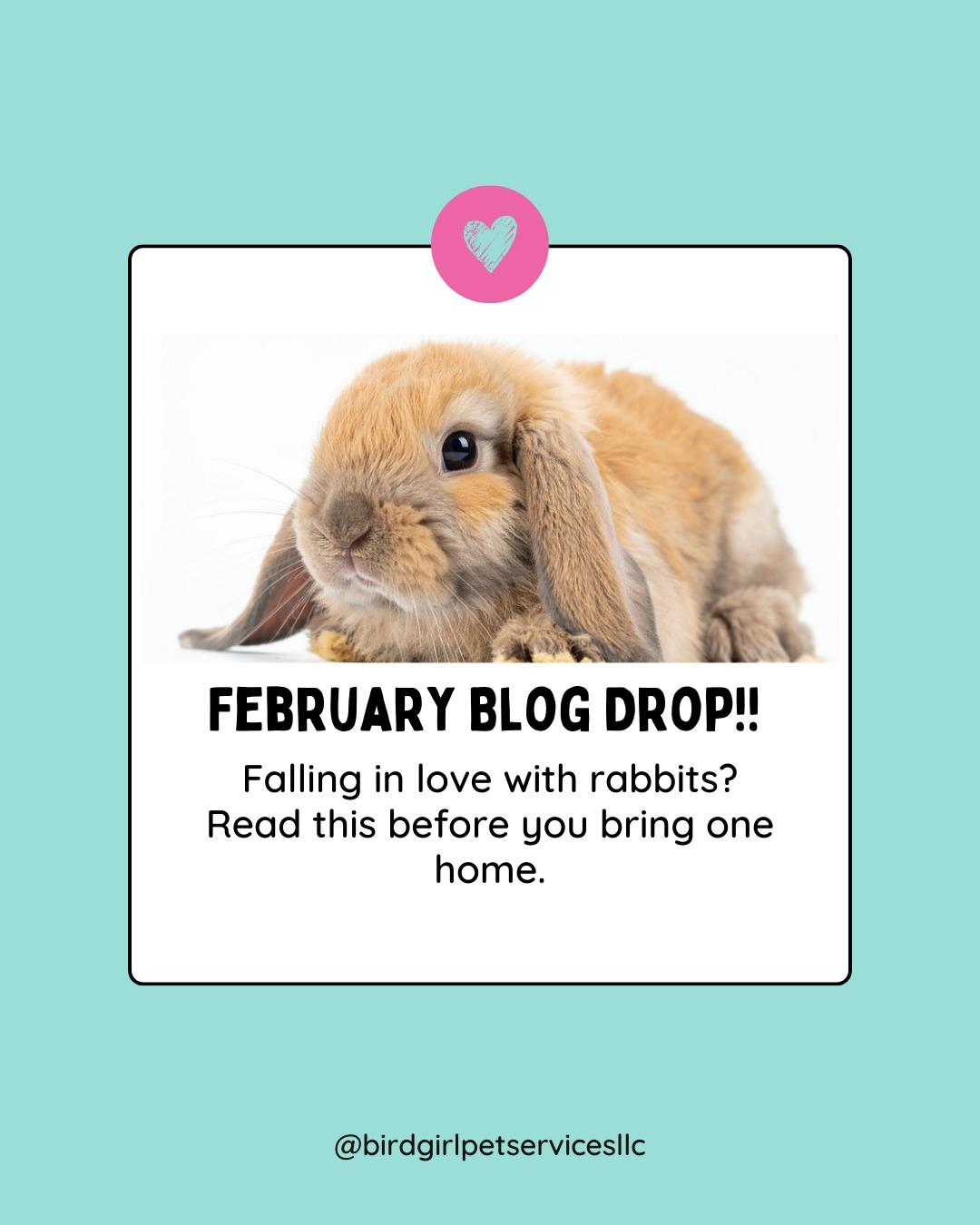 Thinking about adopting a rabbit this February? 🐰
They’re cute, quiet, and often labeled as “easy pets.”
That assumption lasts… about a week.
From hay showing up everywhere to routines that must be respected, rabbits come with strong opinions and surprisingly big personalities — and most people don’t find that out until they’re already in it.
I just shared a new blog post for Rabbit Adoption Month about the things no one really tells you before you bring a rabbit home (but you’ll learn fast).
If you’re considering adoption or just adopted a rabbit, this is worth the read.
And feel free to share it with a future rabbit parent 🐰💛
