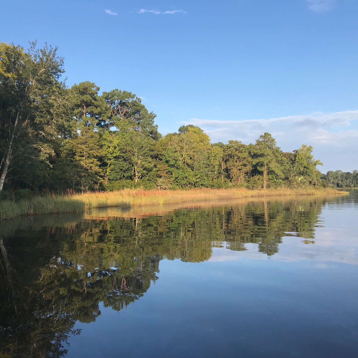 Please join me on Monday, February 16 at 2pm, for a leisurely stroll along a scenic, mostly flat 1-mile trail - perfect for all levels. Come and embrace the outdoors, unwind, and make new connections. Registration info in the comments below.