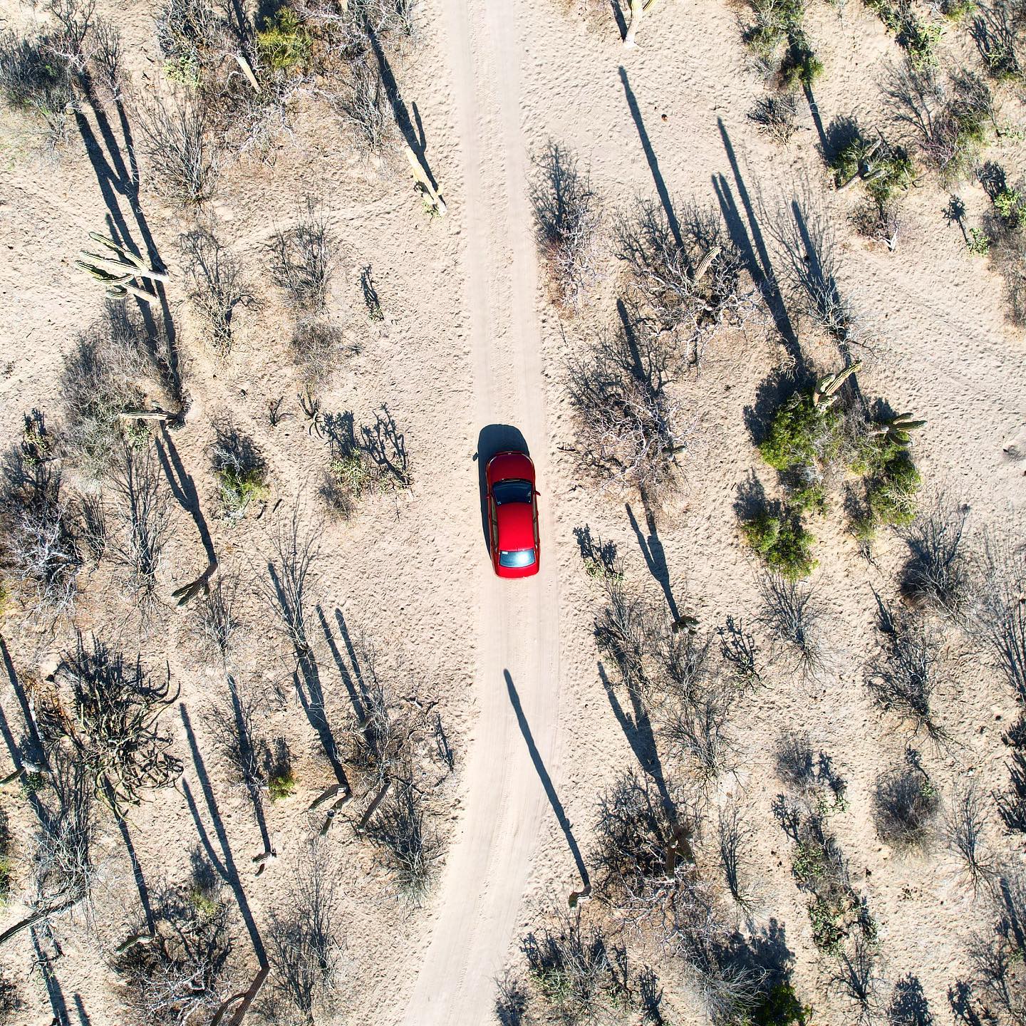 Buscando siempre nuevos caminos
.
.
.
.
.
.
.
#vidamexico #bajacaliforniasur #labaja #bcs #offthegrid #explore #travel #visitmexico #mexico #mextagram #mexigers #mexicomagico #california #sand #travelphotography #travelblogger #InstaMexico #viajandopormexico @djiglobal #dronephotography #dronestagram #droneoftheday #droneshots #dronelife