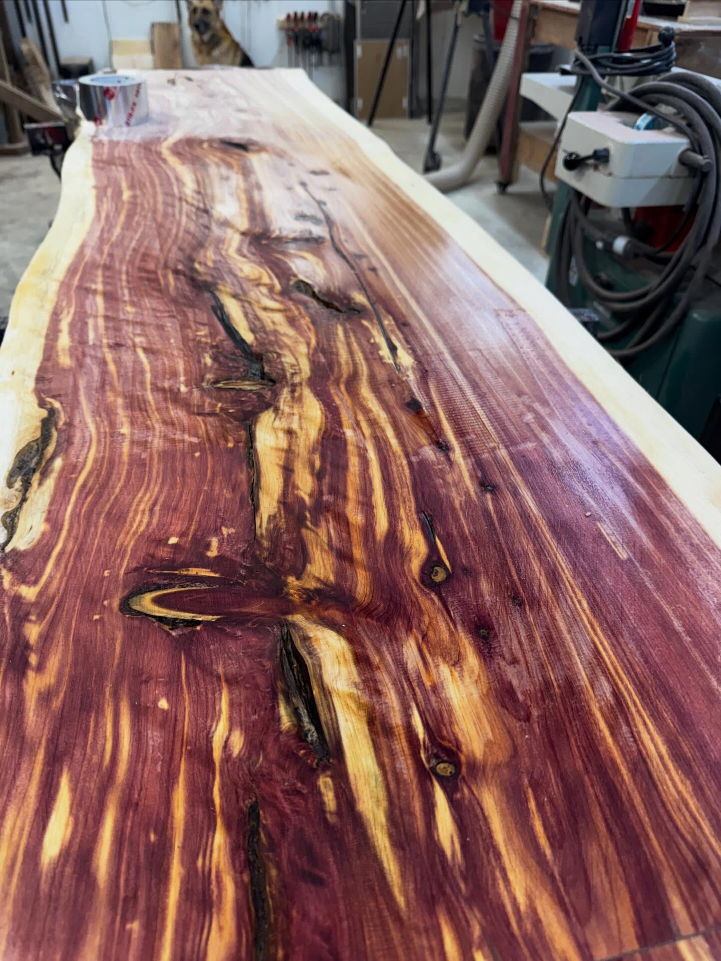 Two of the BEST things about working with cedar:
1️⃣ The SMELL – if “fresh-cut cedar” isn’t your favorite smell, we can’t be friends!
2️⃣ The COLOR – that rich, warm purple glow that makes you stop mid-project like… WOW 🤯#customwoodworking #woodwork #cedarwood #cedarwoods #custom
https://www.acutabovebydesign.com/