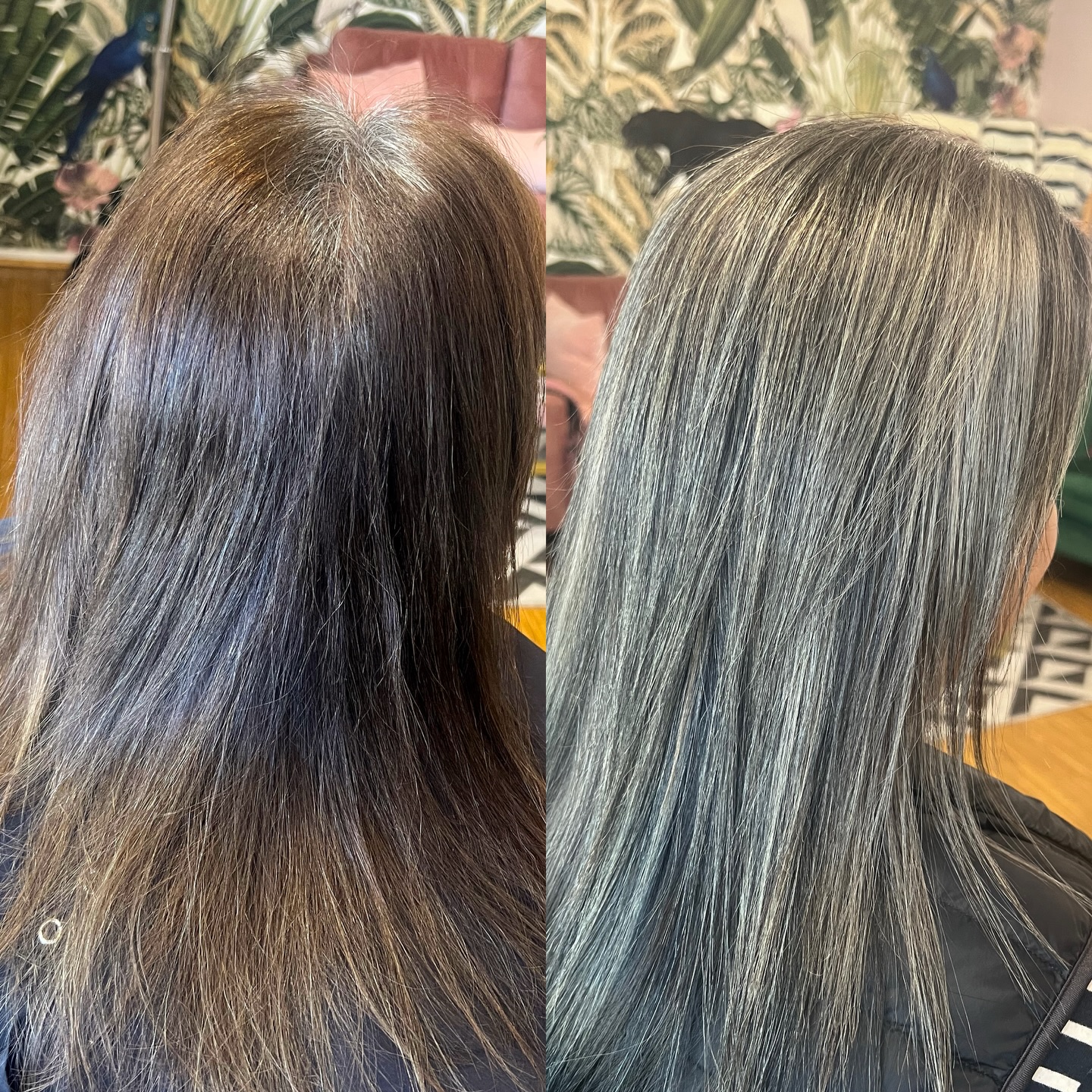 It always surprises me how comfortable people feel after a grey transition appointment.
.
I consider it a big change! (Maybe cuz I’m doing the work 🤗)
But the comments I hear time & time again is
.
“Wow, I just feel like me”
.
.
#hairbybettina #greytransition #greyblending #santarosahairstylist
