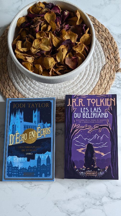 Aujourd'hui j'ai reçu deux romans de chez @pocketimaginaire !
Le premier est le tome 2 de la saga Les chroniques de St Mary de Jodi Taylor. Le deuxième est un livre de J.R.R. Tolkien qui reprend deux Lais de son univers du seigneur des anneaux.
Voici le résumé du tome 2 :
Derrière la façade très académique de l'institut St Mary, les équipes d'historiens, de techniciens, de chercheurs ont découvert le secret du voyage dans le temps. Ici, on n'étudie pas le passé, on le visite...
Dans ce deuxième tome, la jeune historienne Madeleine Maxwell et son équipe ont bien l'intention de continuer leur travail de recherche et leurs mystérieux voyages.
Ils se retrouvent ainsi projetés dans le Londres Victorien de Jack l'éventreur. Jamais très loin de leur tasse de thé, ils deviennent les témoins volontaires du meurtre de Thomas Becket et partent même sur l'île Maurice pour tenter de sauver les derniers dodos...
Bien évidemment, rien ne se passe comme prévu et tout se complique lorsqu'un obscur ennemi décide de détruire l'institut St Mary, quitte à anéantir l'Histoire elle-même.
Alors ça vous tente ? ☺️
#unboxing #bookstagram #bookstagramfrance #SortieLittéraire #pocketimaginaire